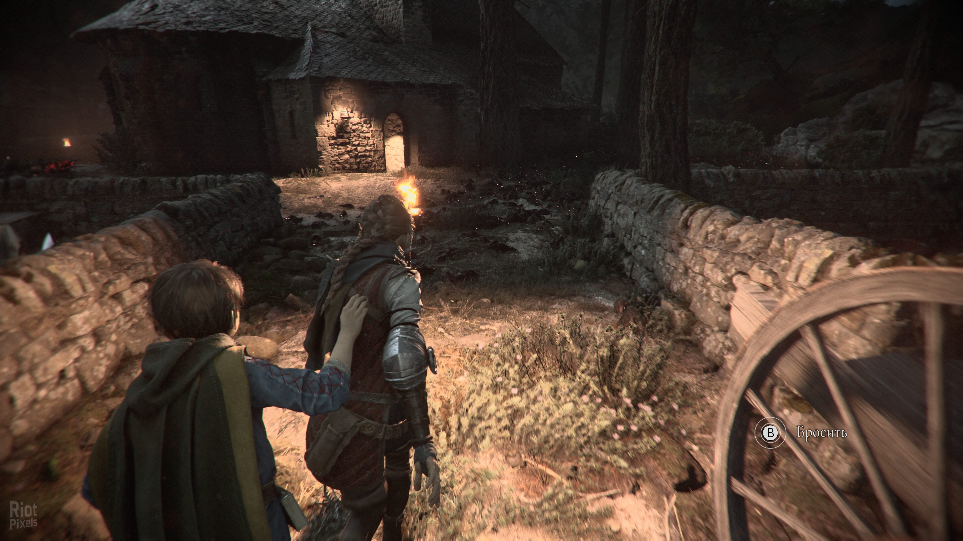 [8]-A Plague Tale: Requiem – v1.0.0.0 Steam/GOG + Protector Pack DLC Download-HohohoGames