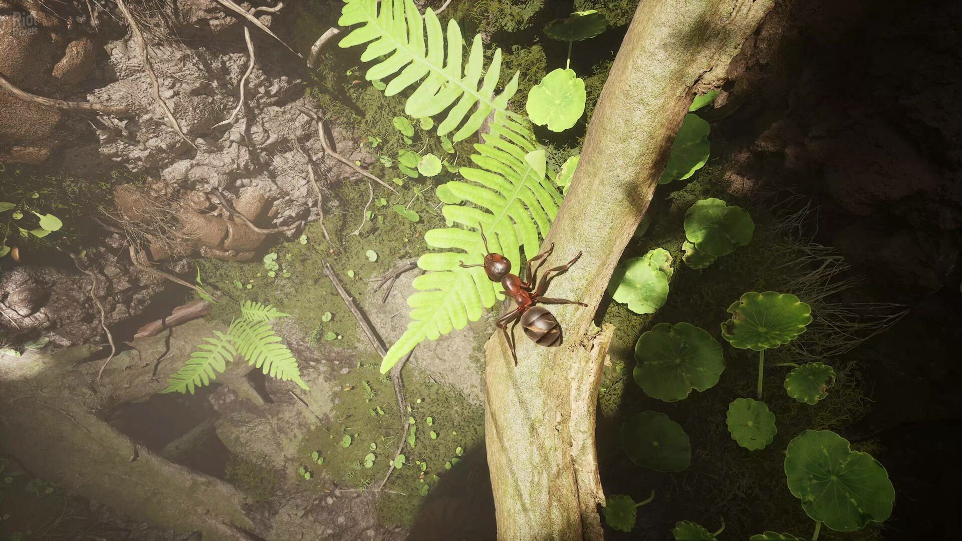 [8]-Empire of the Ants: Digital Deluxe Edition – v1.02.19732 + Bonus Content + Windows 7 Fix Download-HohohoGames