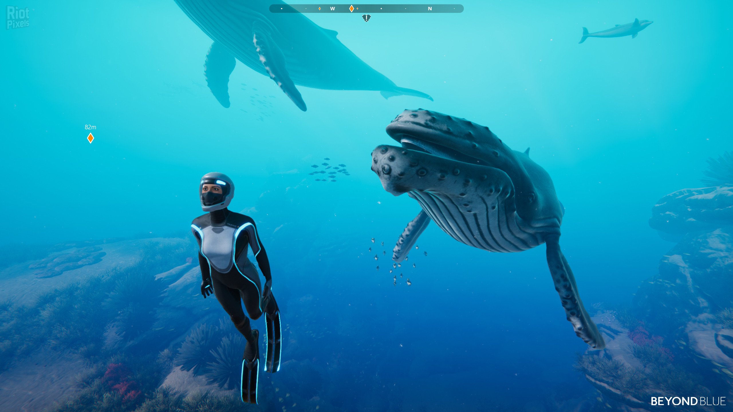 [12]-Beyond Blue – v1.7.17798 Download-HohohoGames