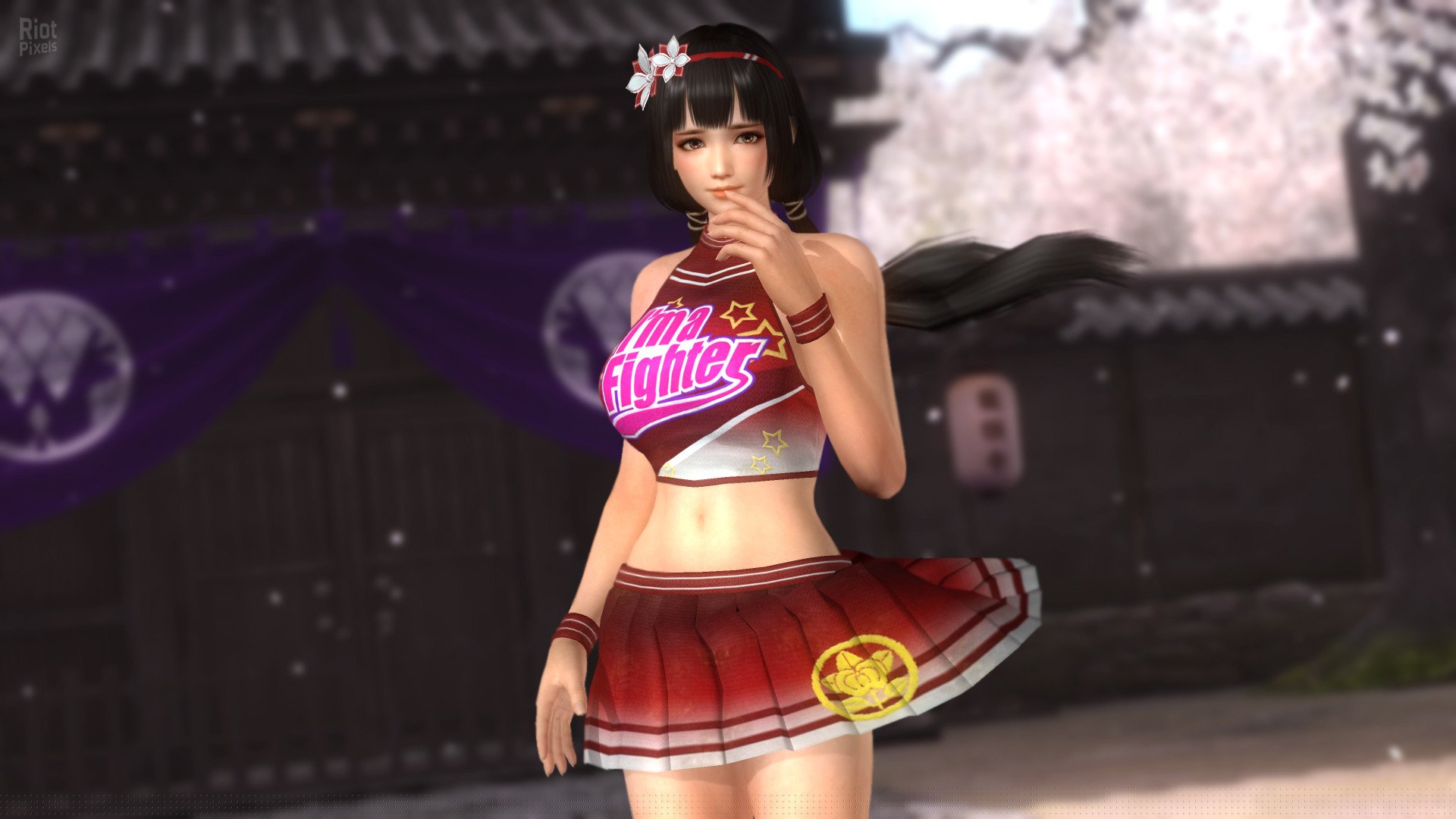 [14]-Dead or Alive 5: Last Round – v1.10C + All DLCs + Unlocker Download-HohohoGames