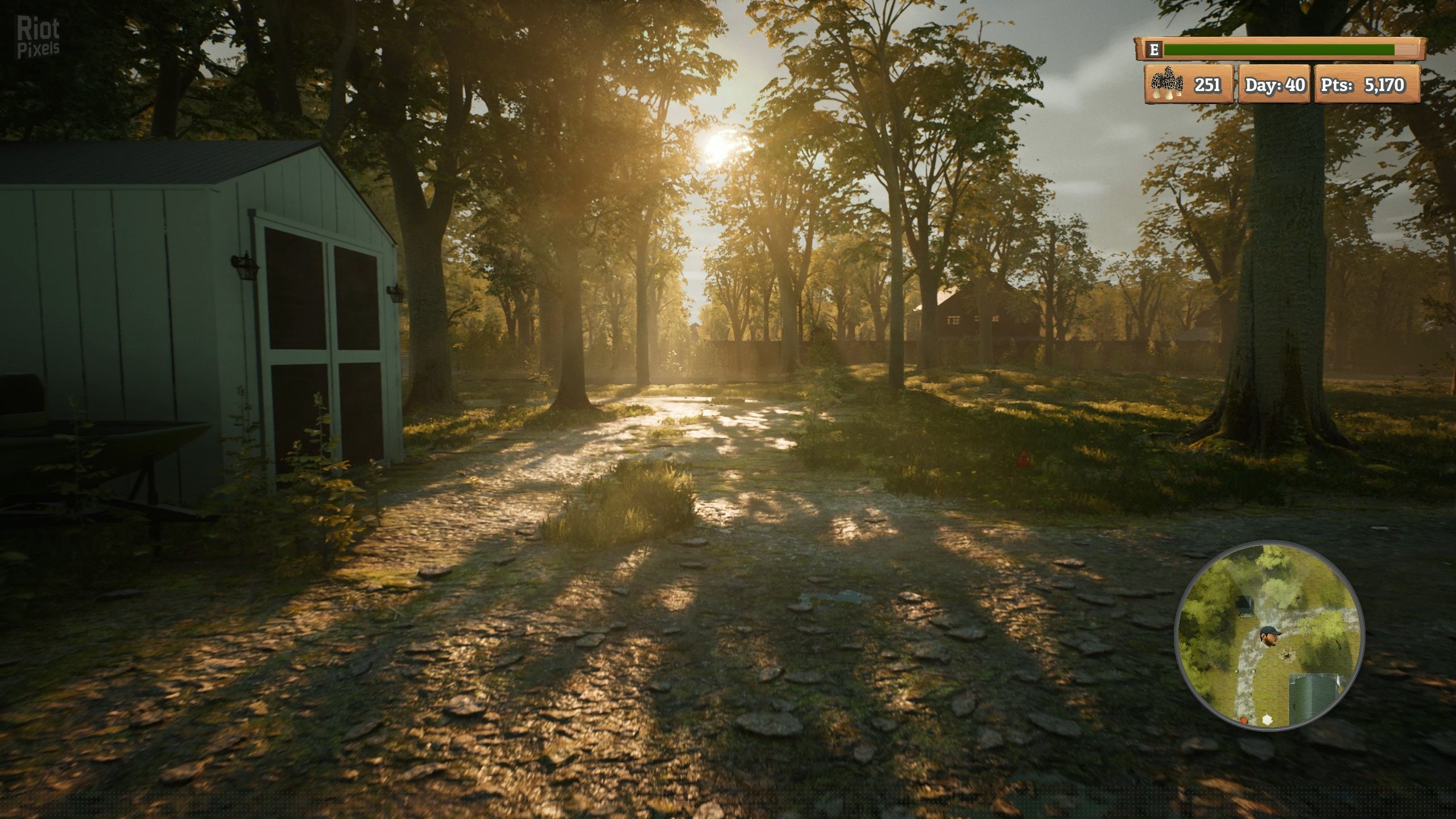 [8]-Morels: The Hunt Download-HohohoGames
