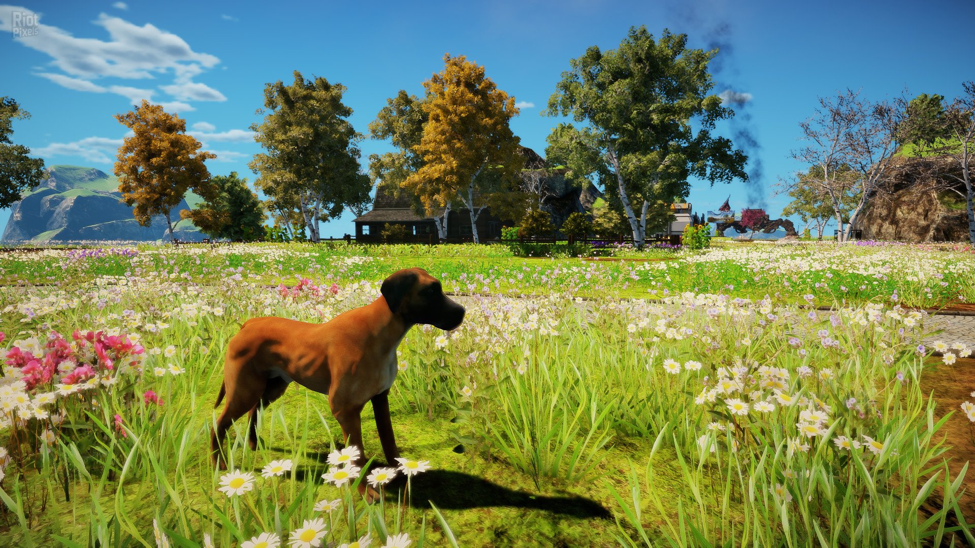 [5]-Animallica Download-HohohoGames
