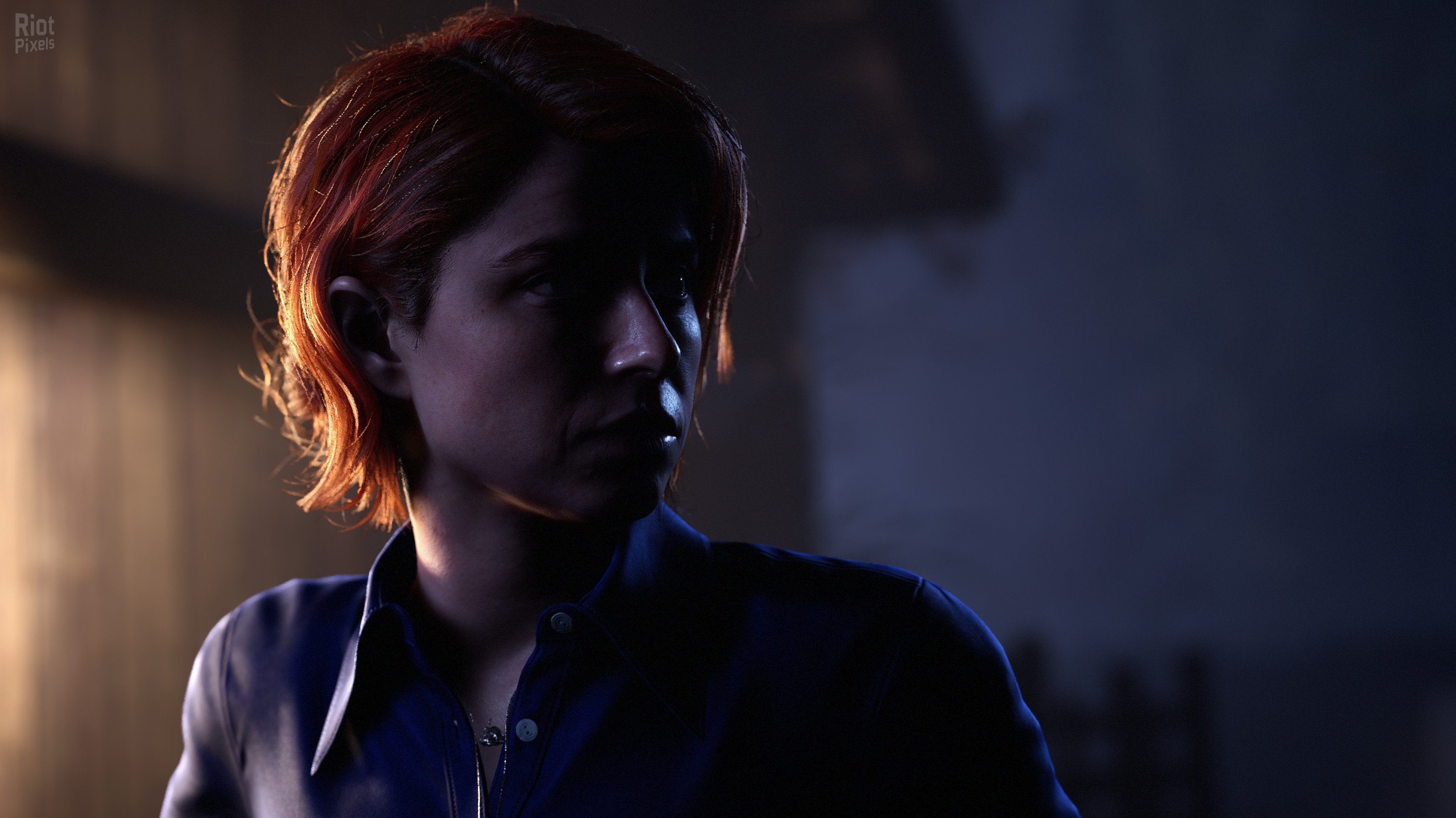 [6]-The Dark Pictures Anthology: The Devil in Me + Curator’s Cut DLC + Online Co-op Download-HohohoGames
