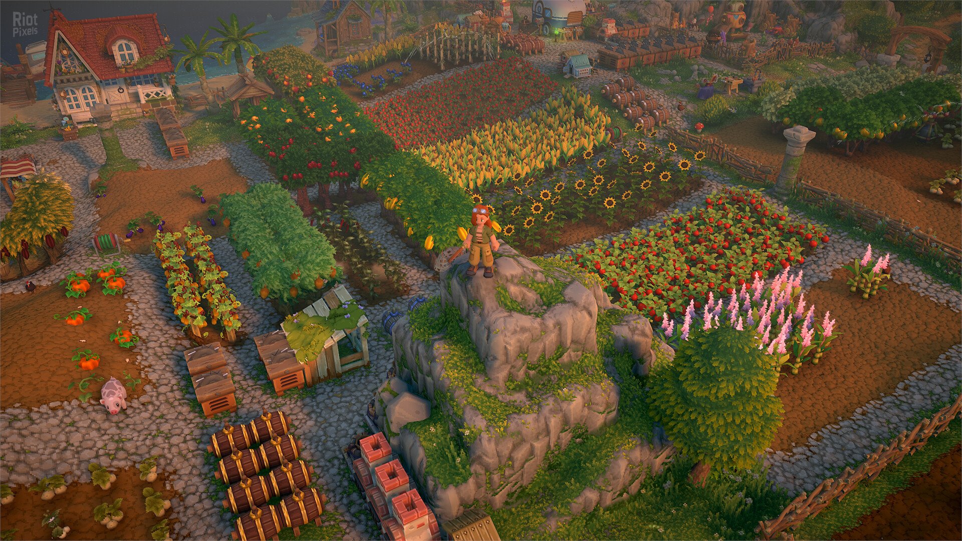 [6]-Luma Island – v1.19219 + Multiplayer Download-HohohoGames