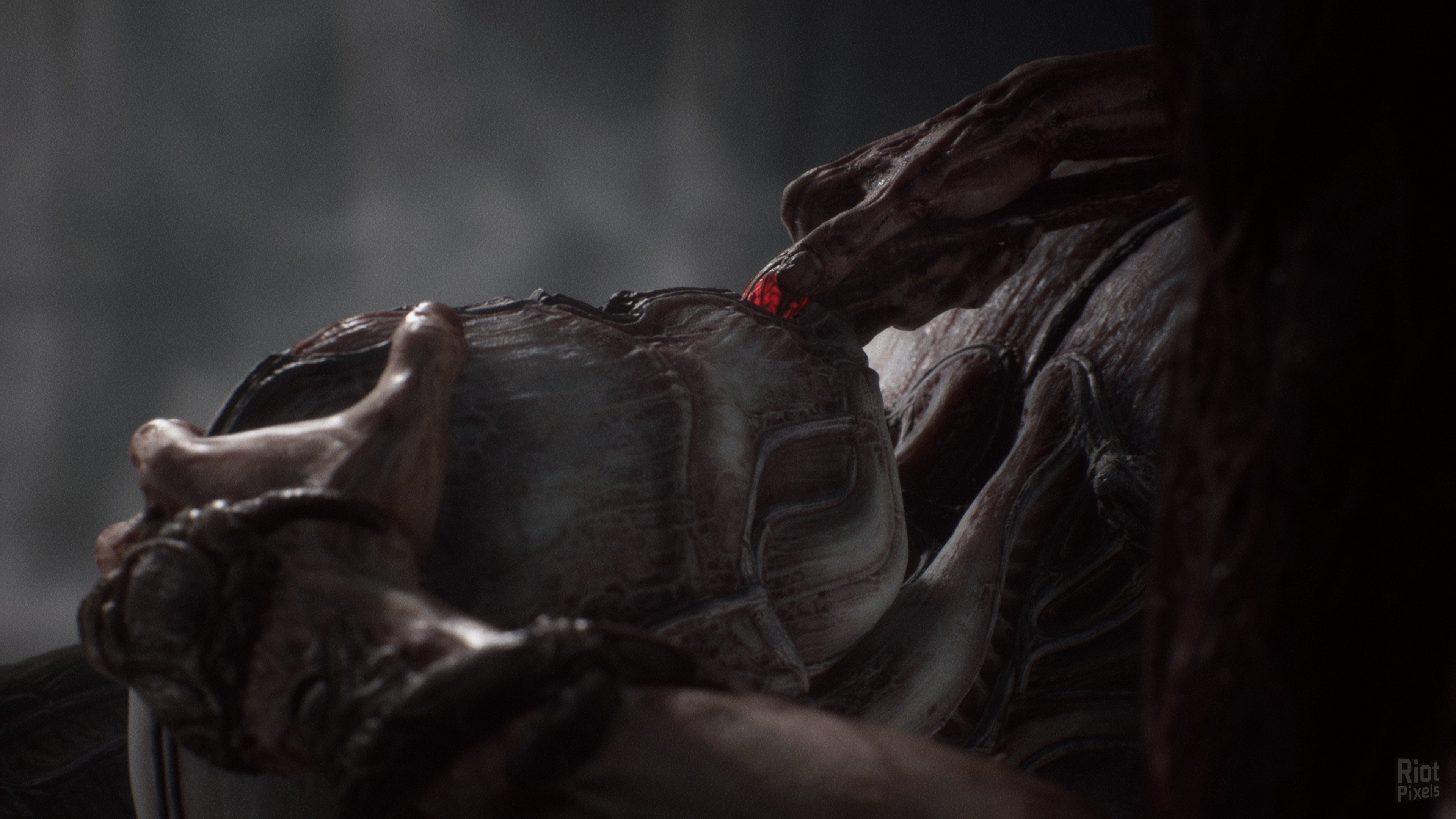 [13]-Scorn: Deluxe Edition, v1.2.2.0 + Bonus Content + Windows 7 Fix Download-HohohoGames