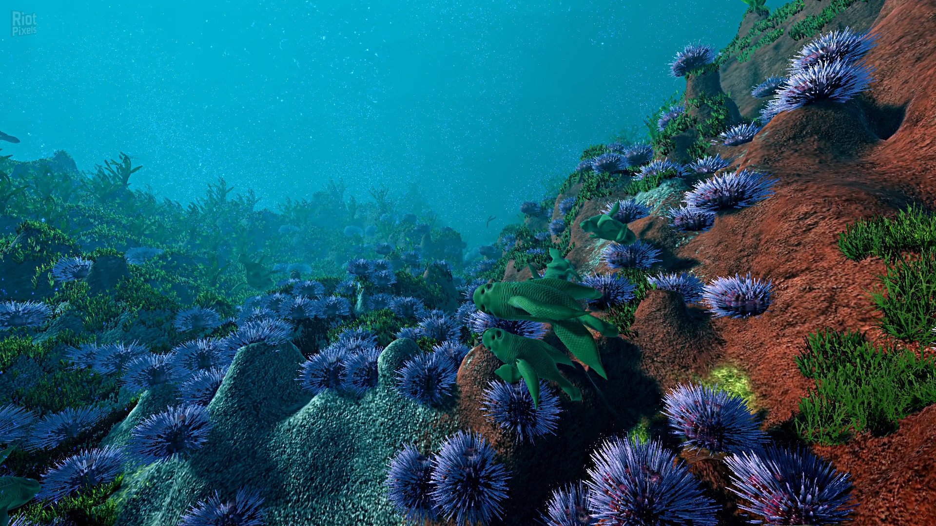 [13]-Ecosystem – v1.01 Download-HohohoGames