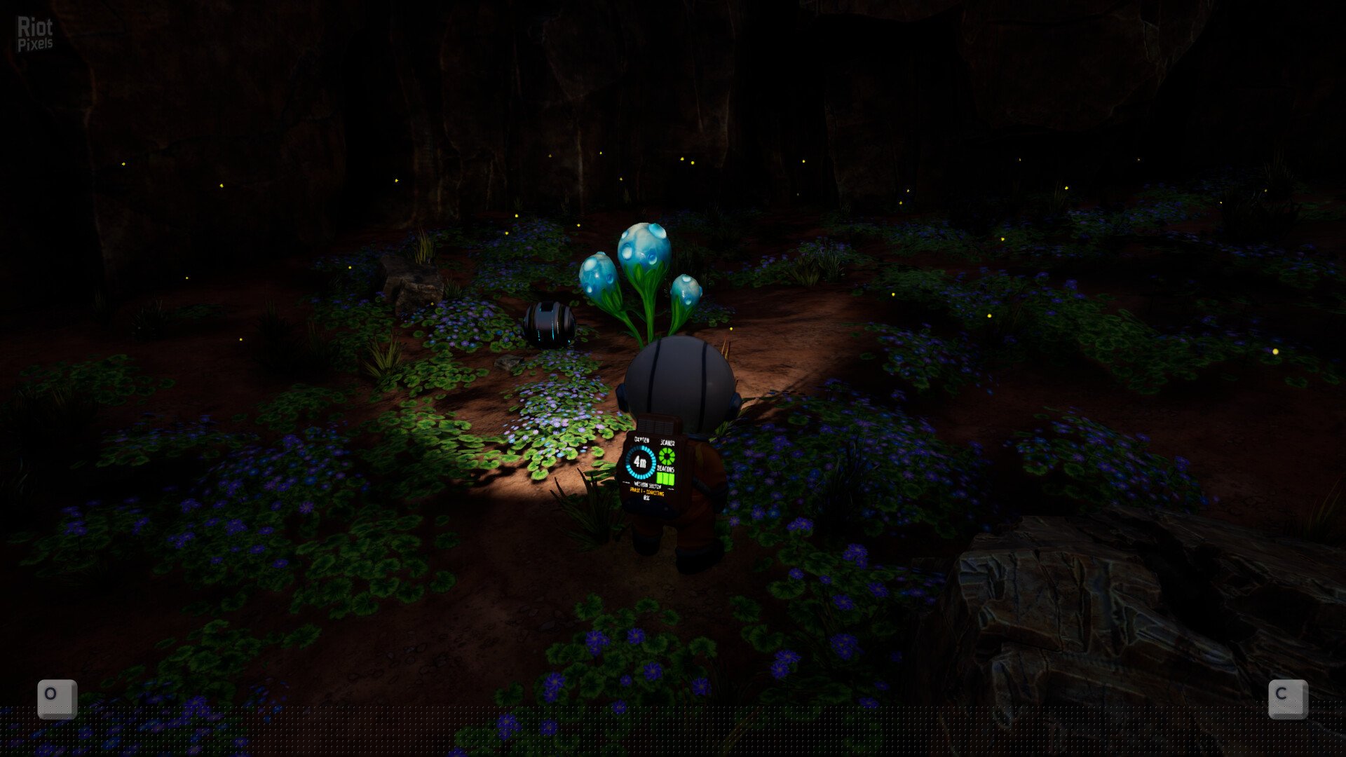 [7]-Planternauts + Windows 7 Fix Download-HohohoGames