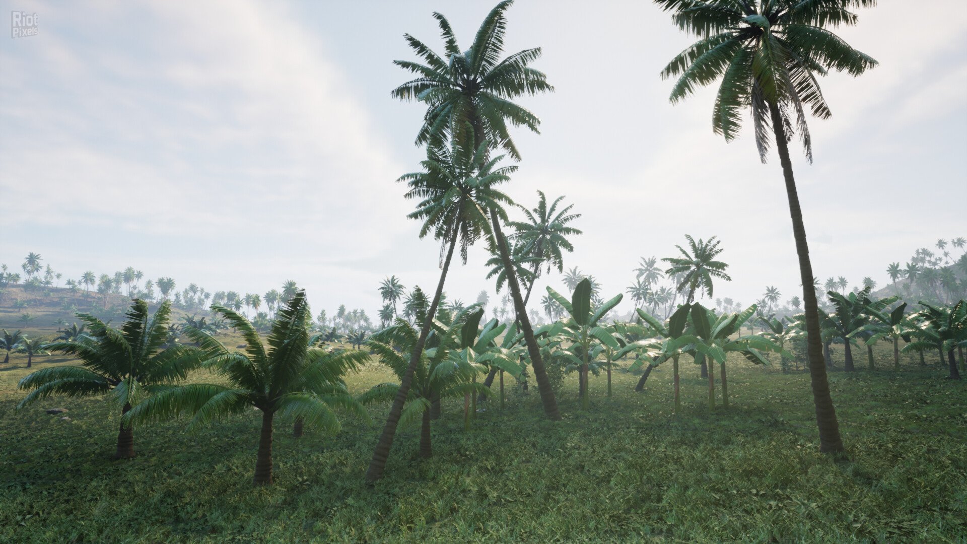 [13]-Pirates Journey – v0.1.06 Download-HohohoGames
