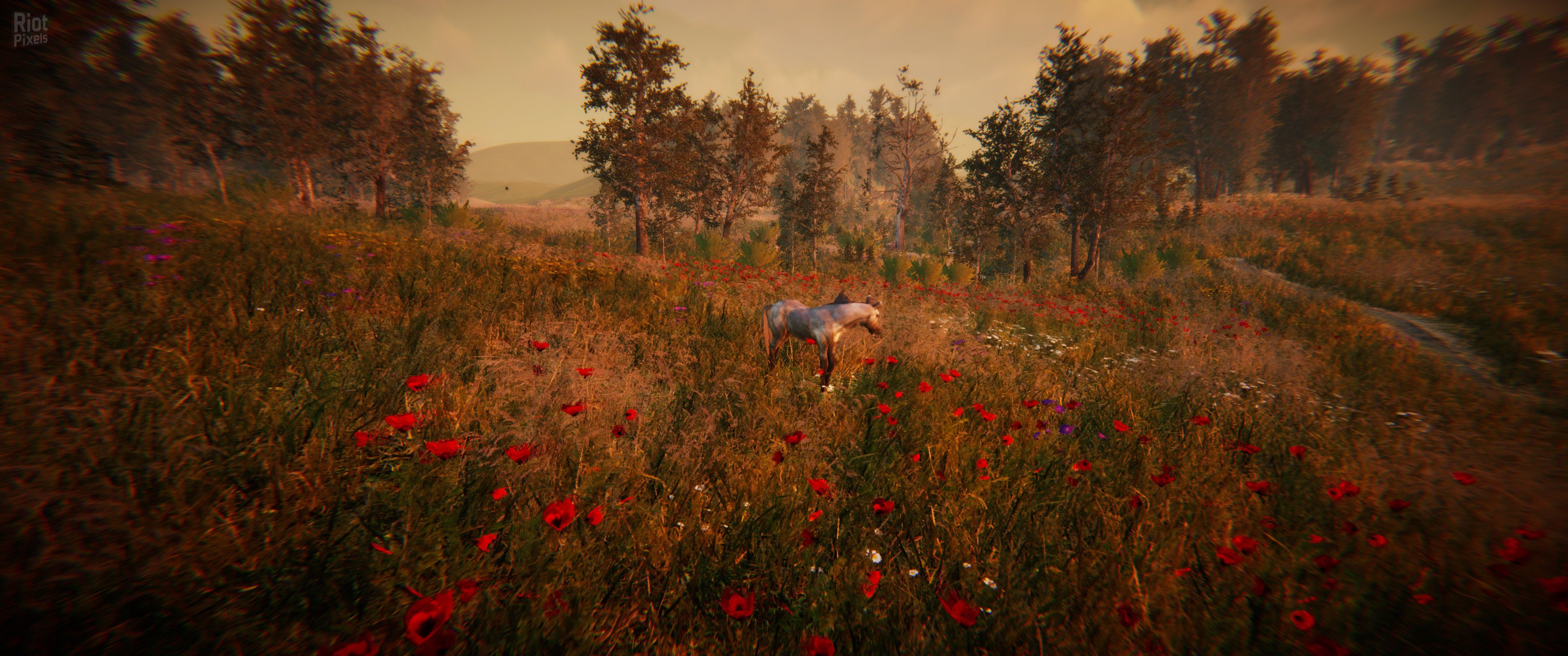 [9]-Animal Simulator Download-HohohoGames