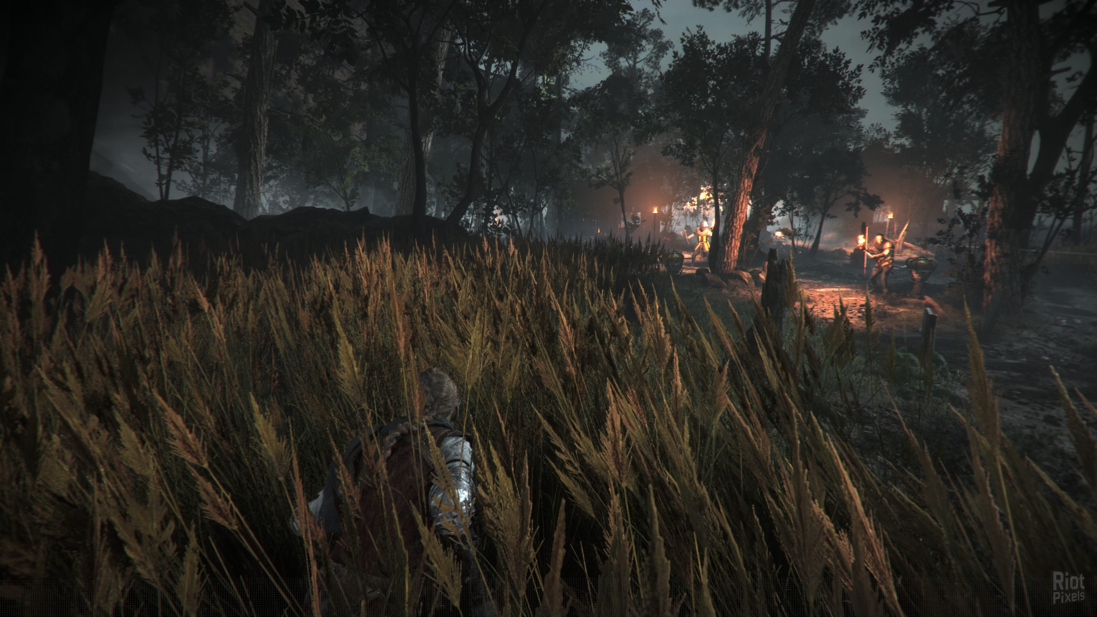 [10]-A Plague Tale: Requiem – v1.0.0.0 Steam/GOG + Protector Pack DLC Download-HohohoGames