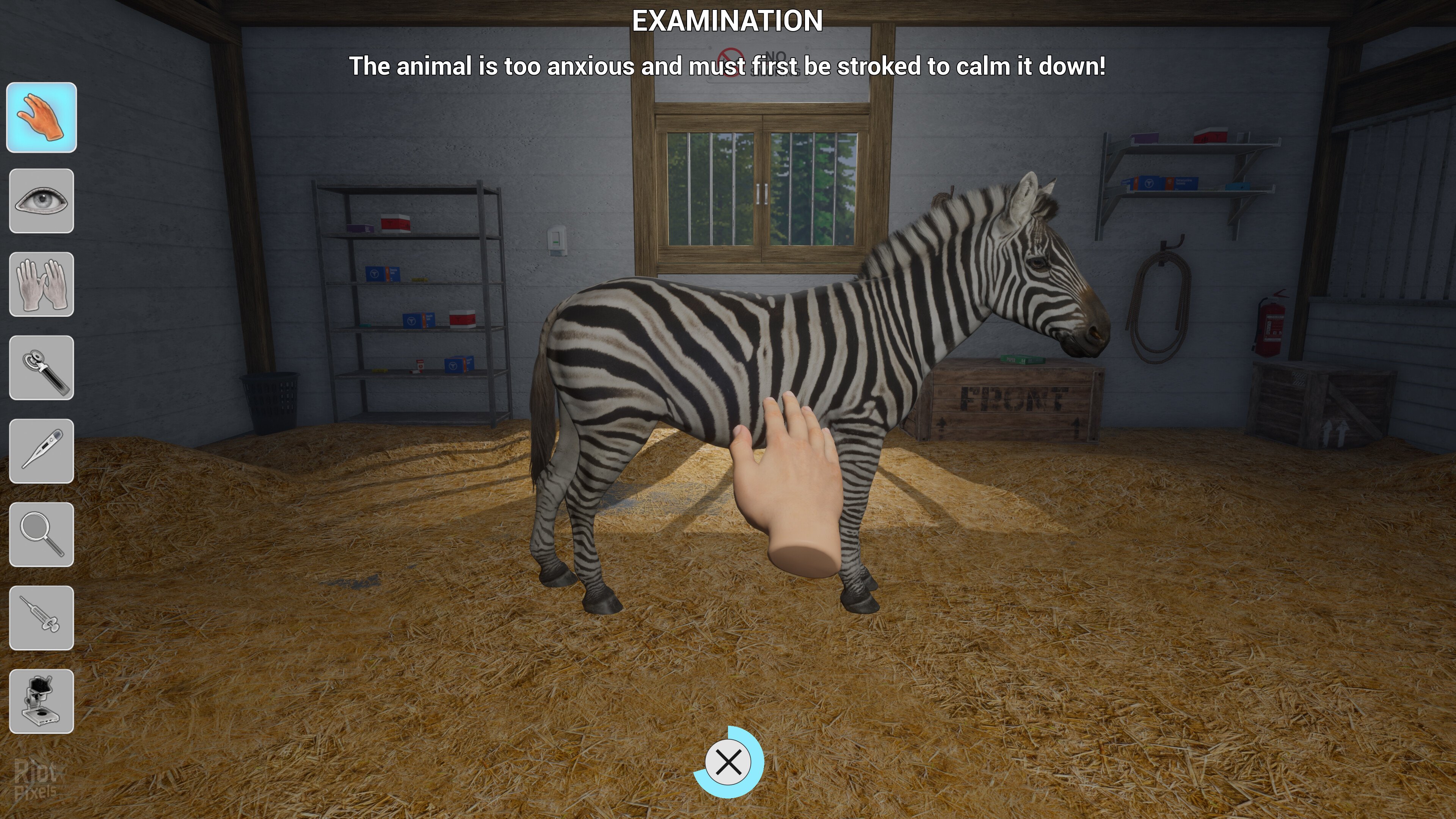 [12]-My Life: Zoo Vet – v1.2.0 Download-HohohoGames