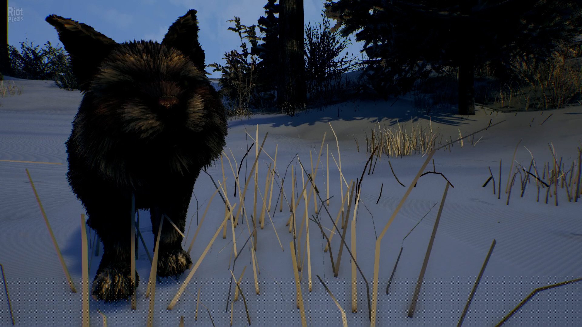 Open Country – v1.0.0.2636 Download-HohohoGames