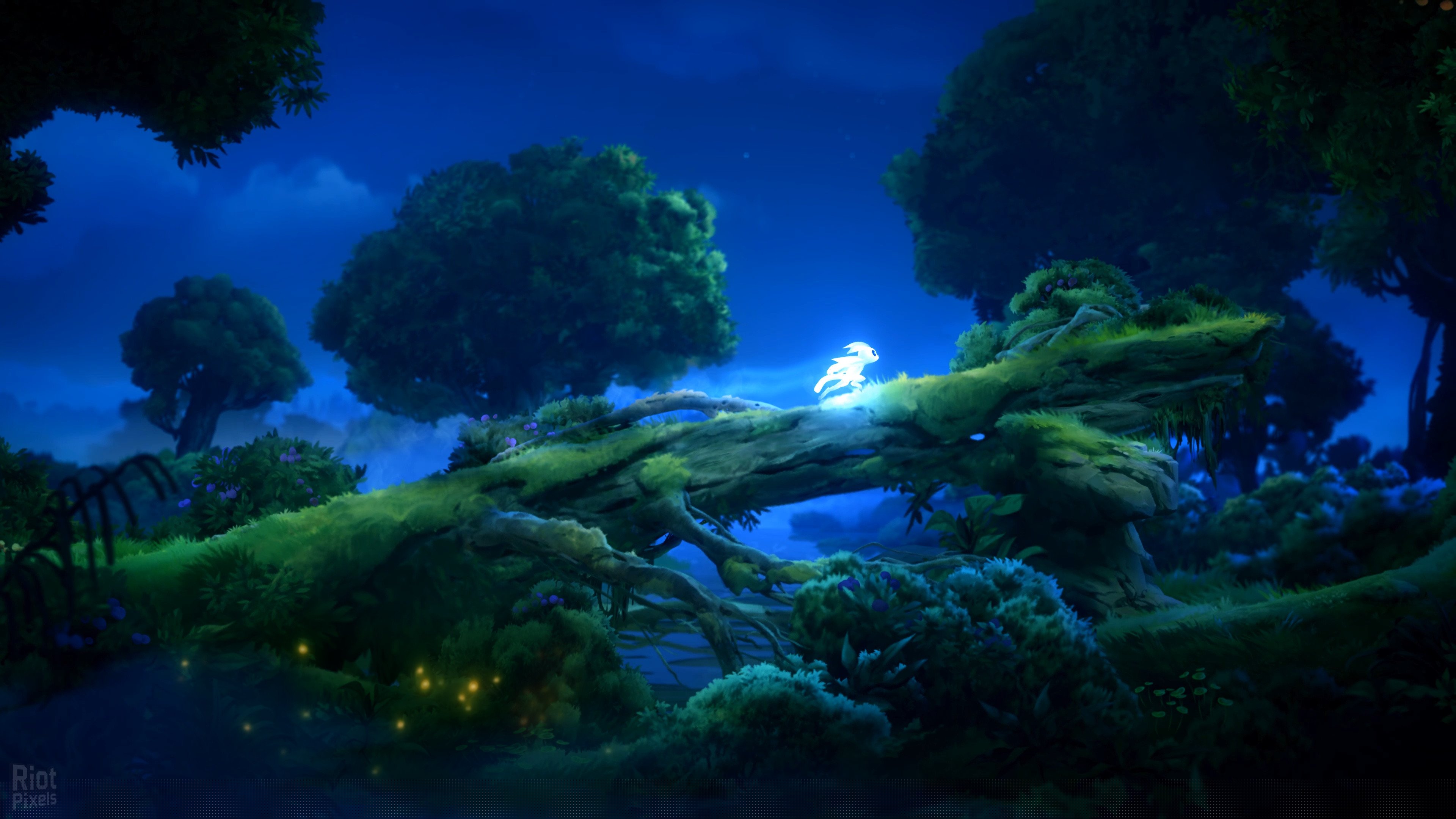 [8]-Ori and the Will of the Wisps Download-HohohoGames