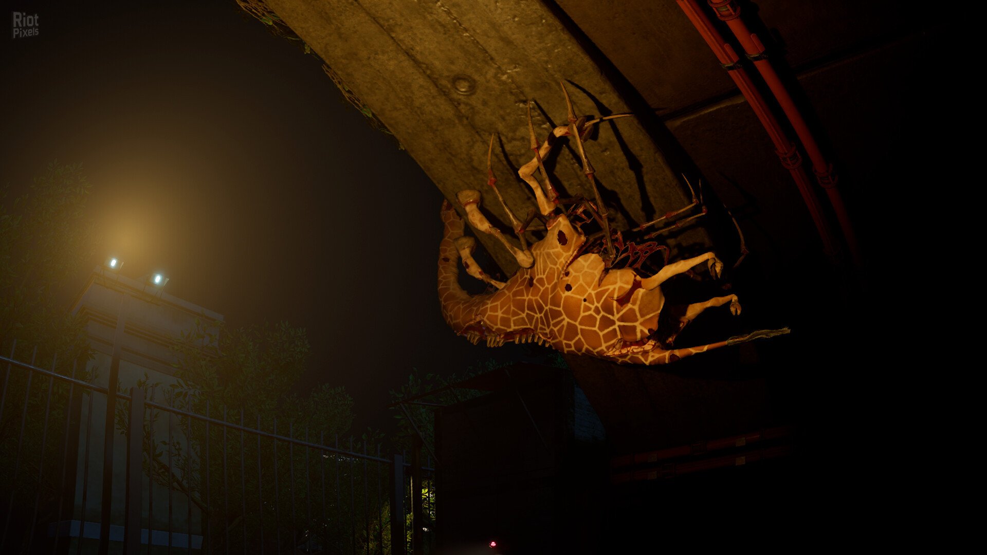 [11]-Zoochosis – v1.6.3 + Windows 7 Fix Download-HohohoGames