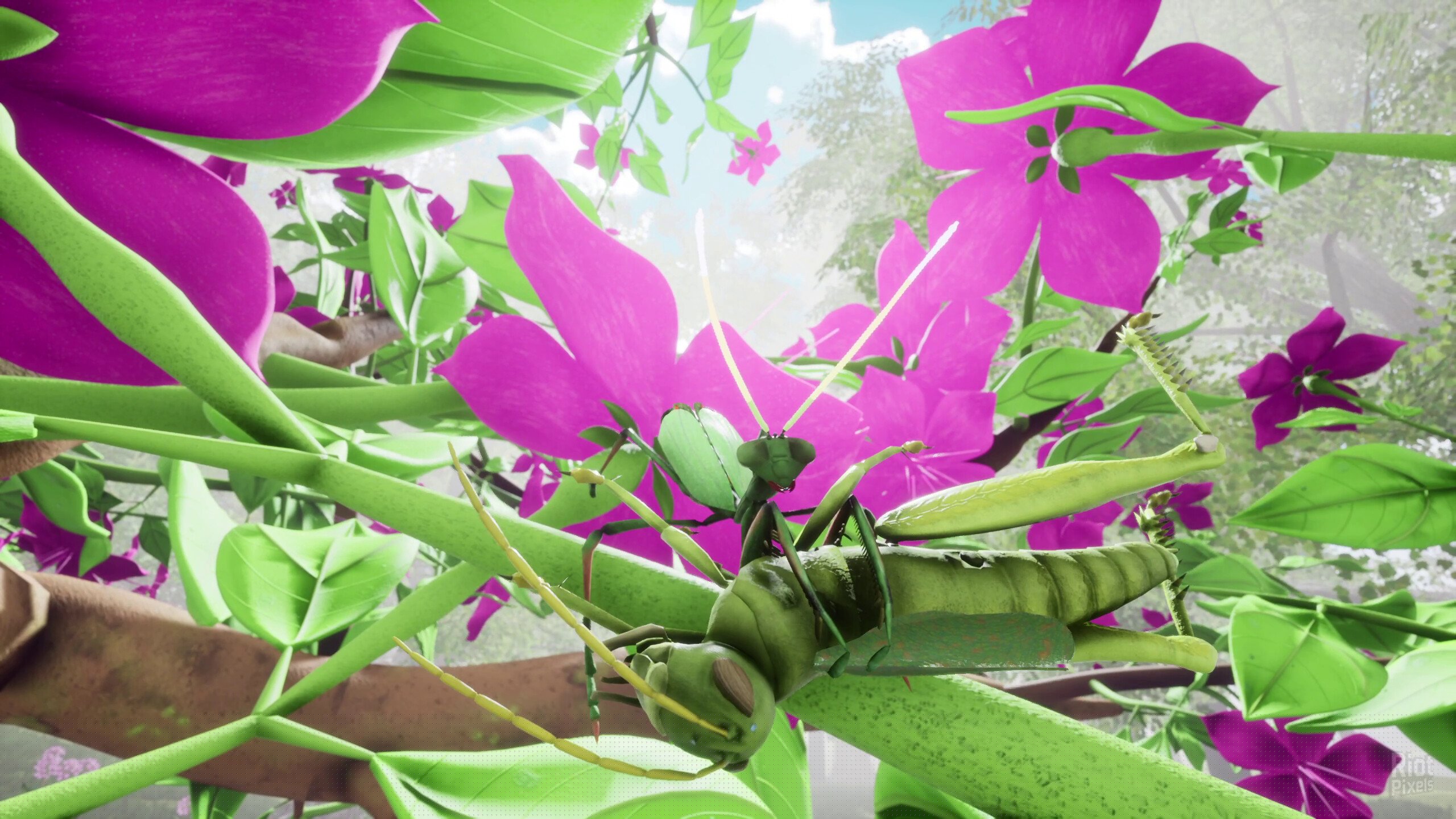 [9]-Nature & Life: Drunk On Nectar + Bonus Soundtrack Download-HohohoGames