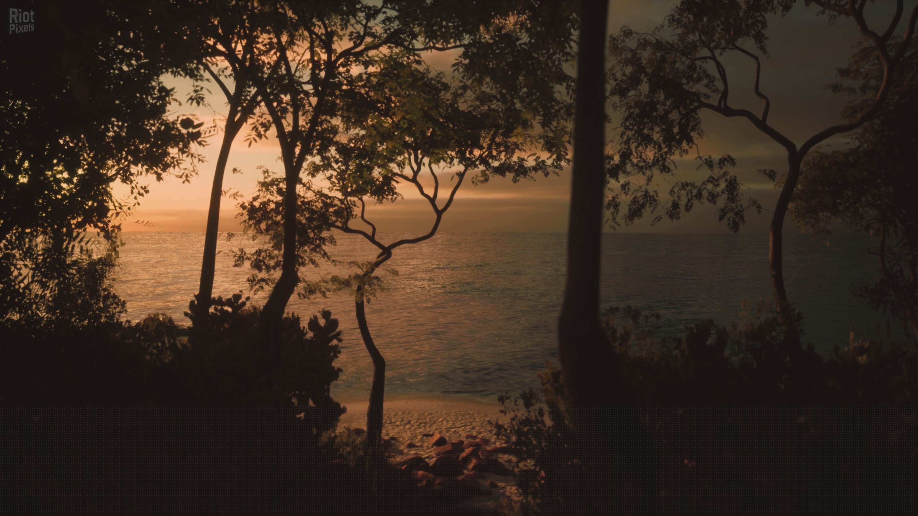 [16]-Lushfoil Photography Sim Download-HohohoGames