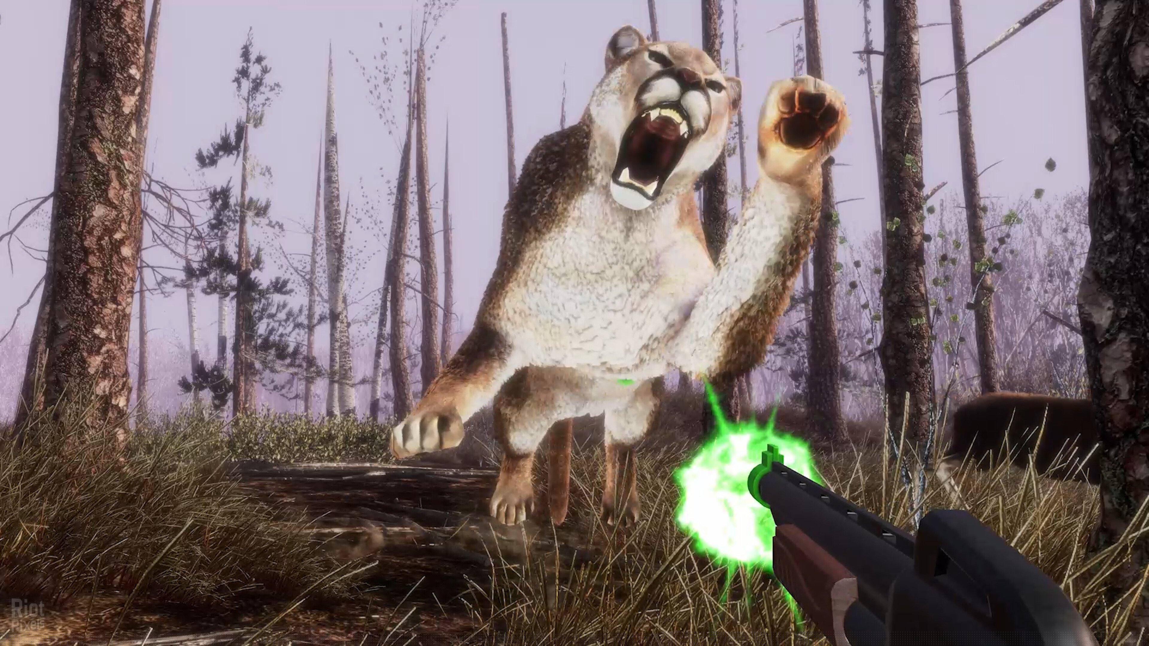 [3]-Big Buck Hunter: Ultimate Trophy Download-HohohoGames