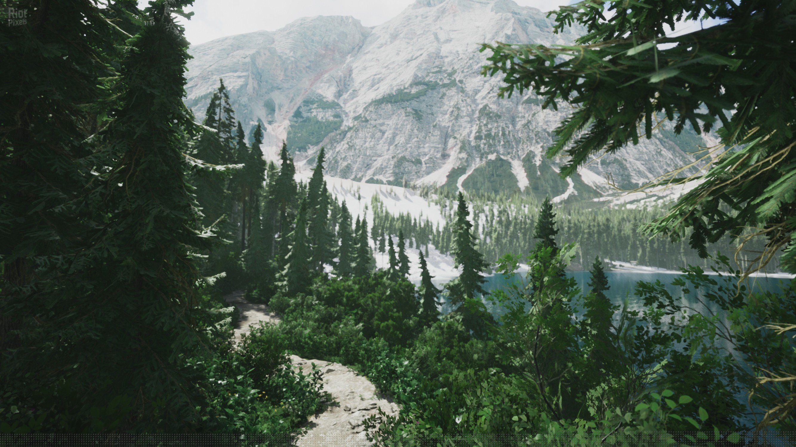 [3]-Lushfoil Photography Sim Download-HohohoGames