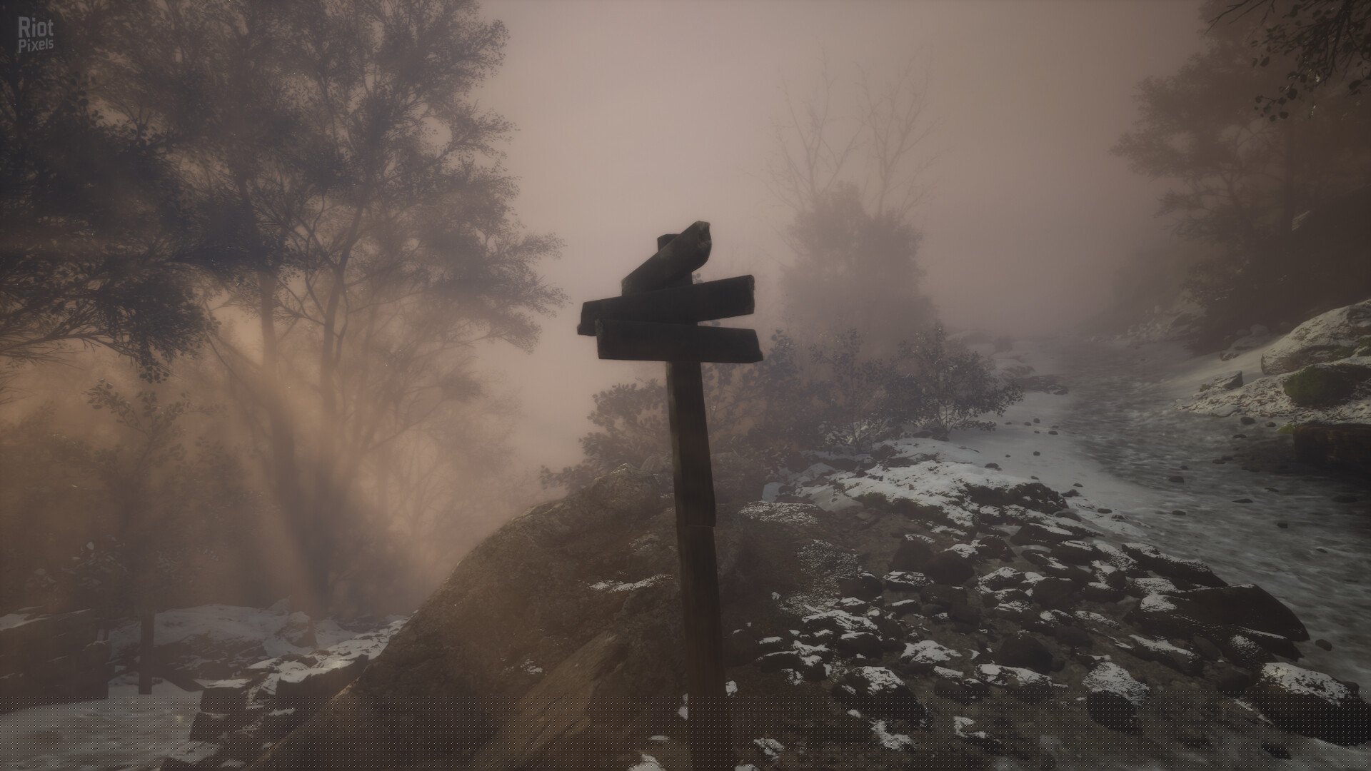 [9]-Lushfoil Photography Sim Download-HohohoGames