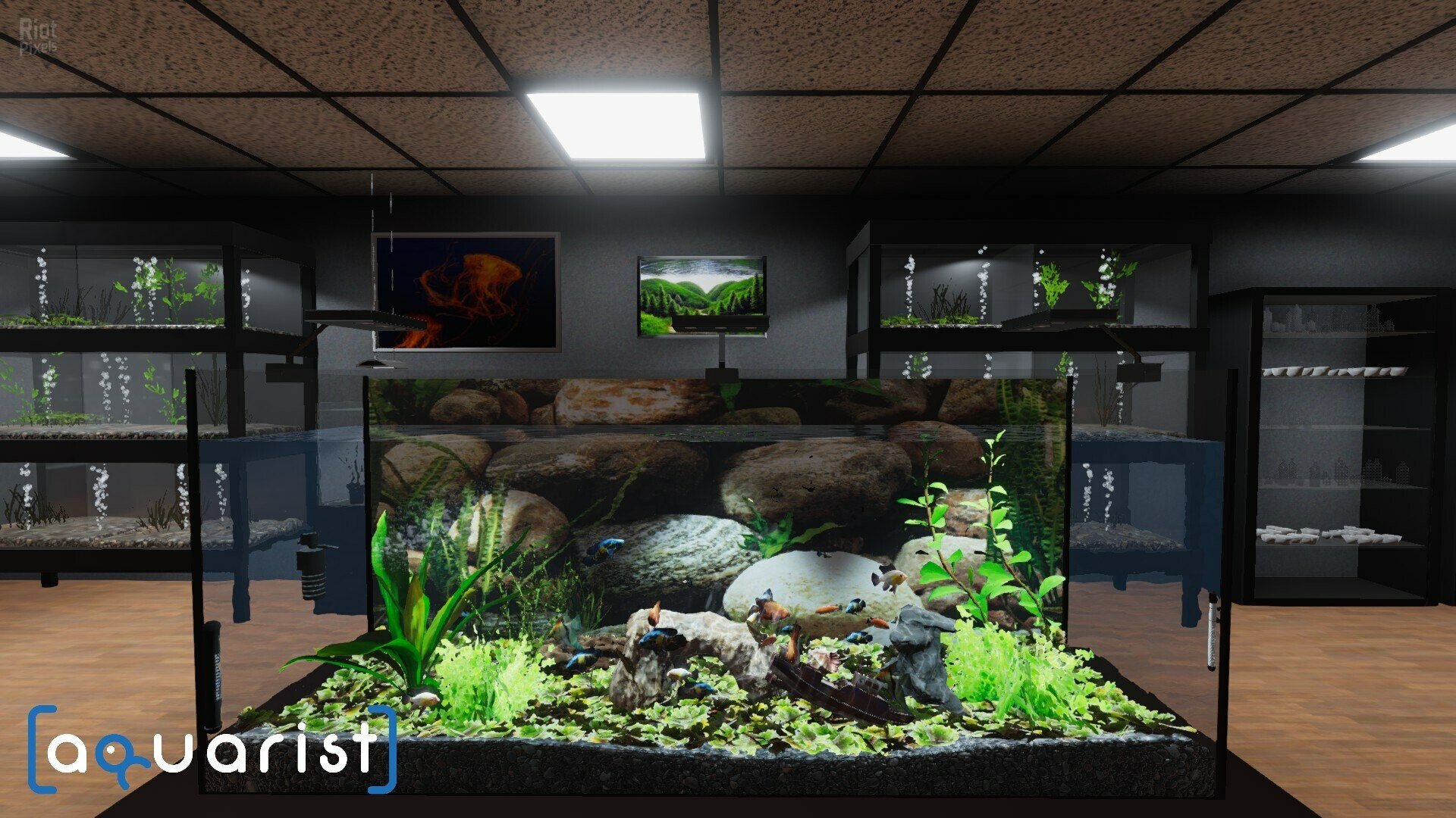 [9]-Aquarist: Full Experience Bundle – Build 18222695 + 3 DLCs Download