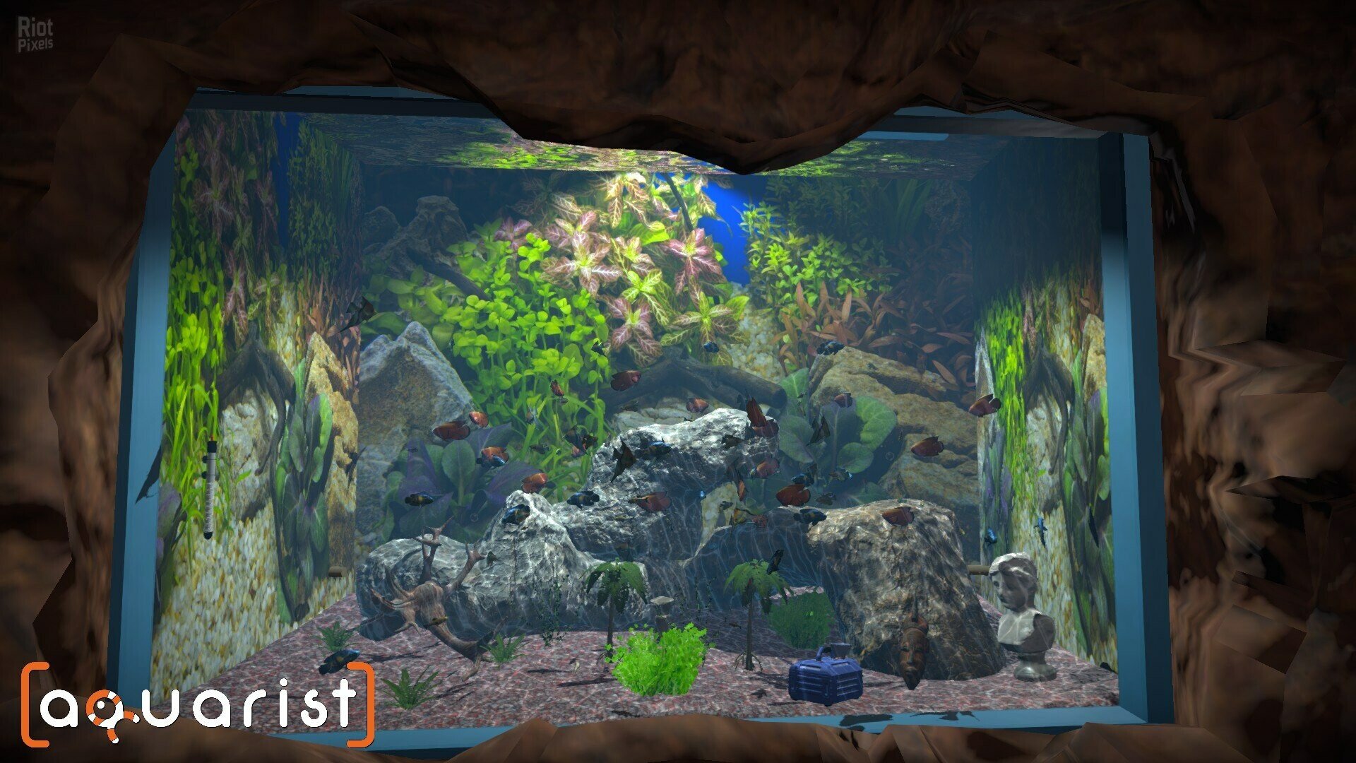 [7]-Aquarist: Full Experience Bundle – Build 18222695 + 3 DLCs Download