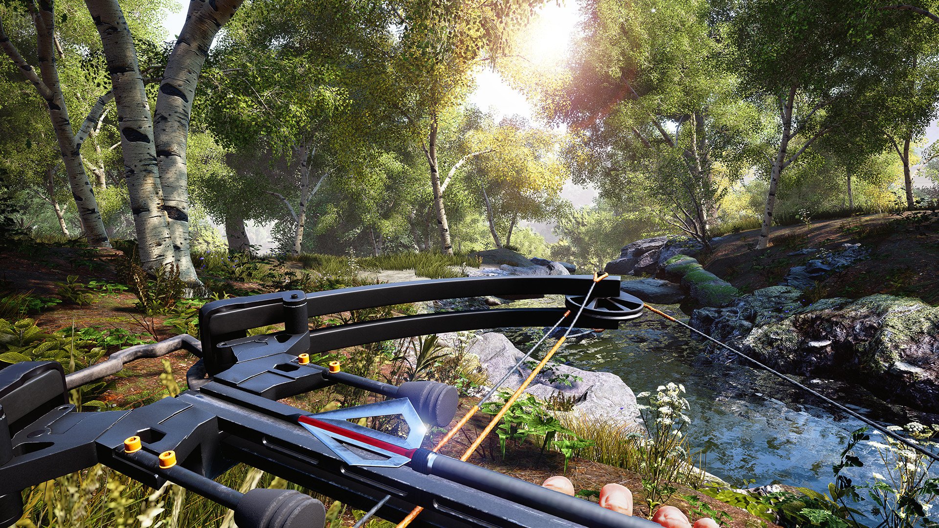 [2]-Hunting Simulator – v1.2 + DLC Download