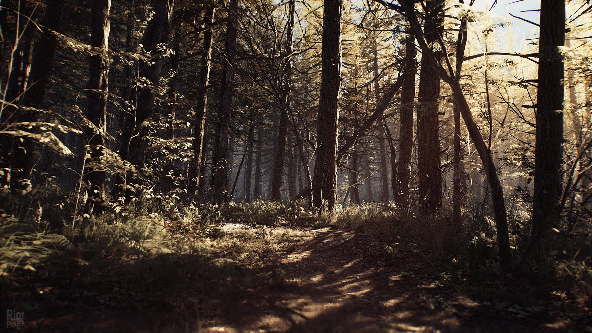 [8]-Blair Witch: Deluxe Edition – v08302019/Update 1 Download