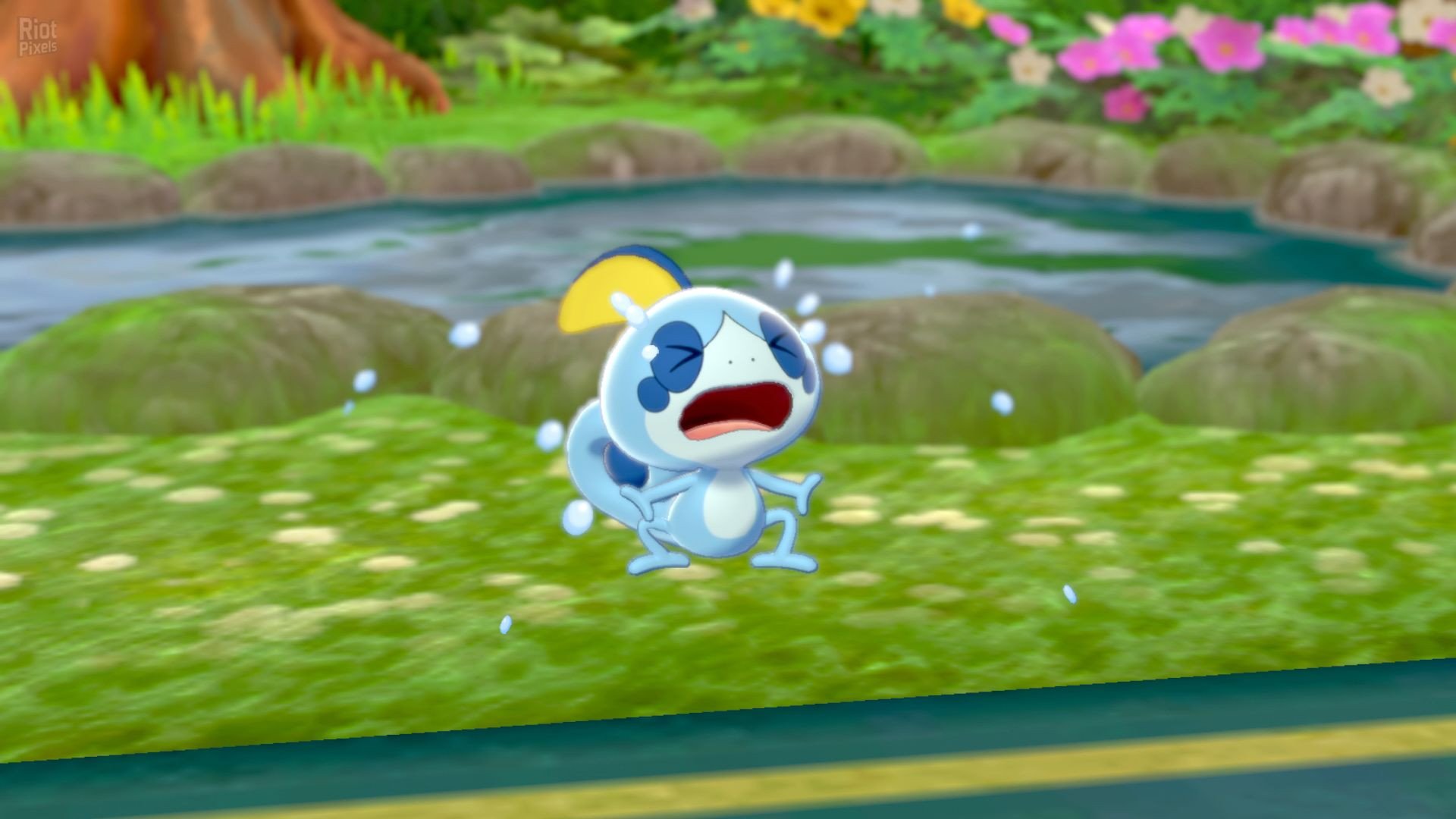 Pokemon: Sword/Shield – v1.3.1 + 2 DLCs + Yuzu Emu for PC Download