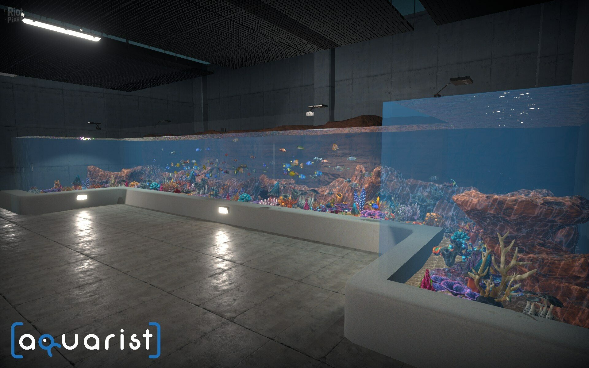 [3]-Aquarist: Full Experience Bundle – Build 18222695 + 3 DLCs Download