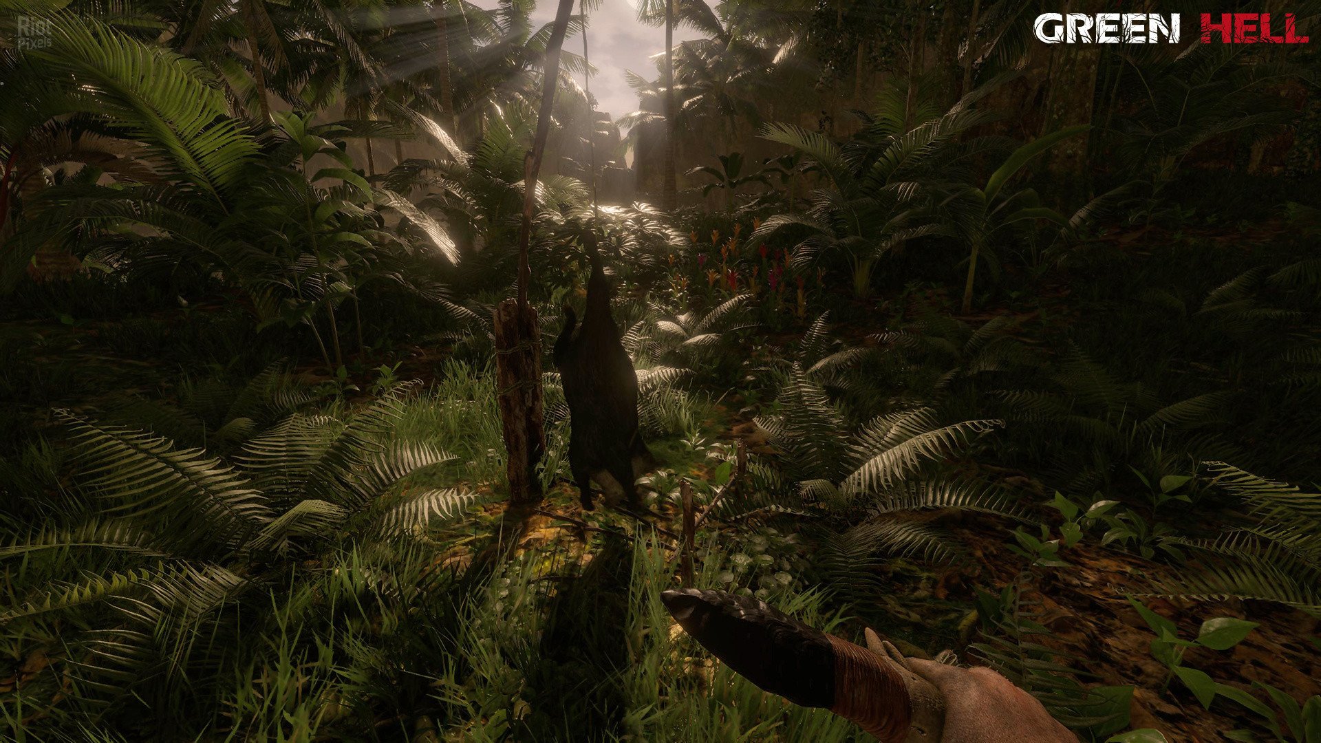 [5]-Green Hell – v2.2.0 build 31580 / v2.2.1 build 31671 Download