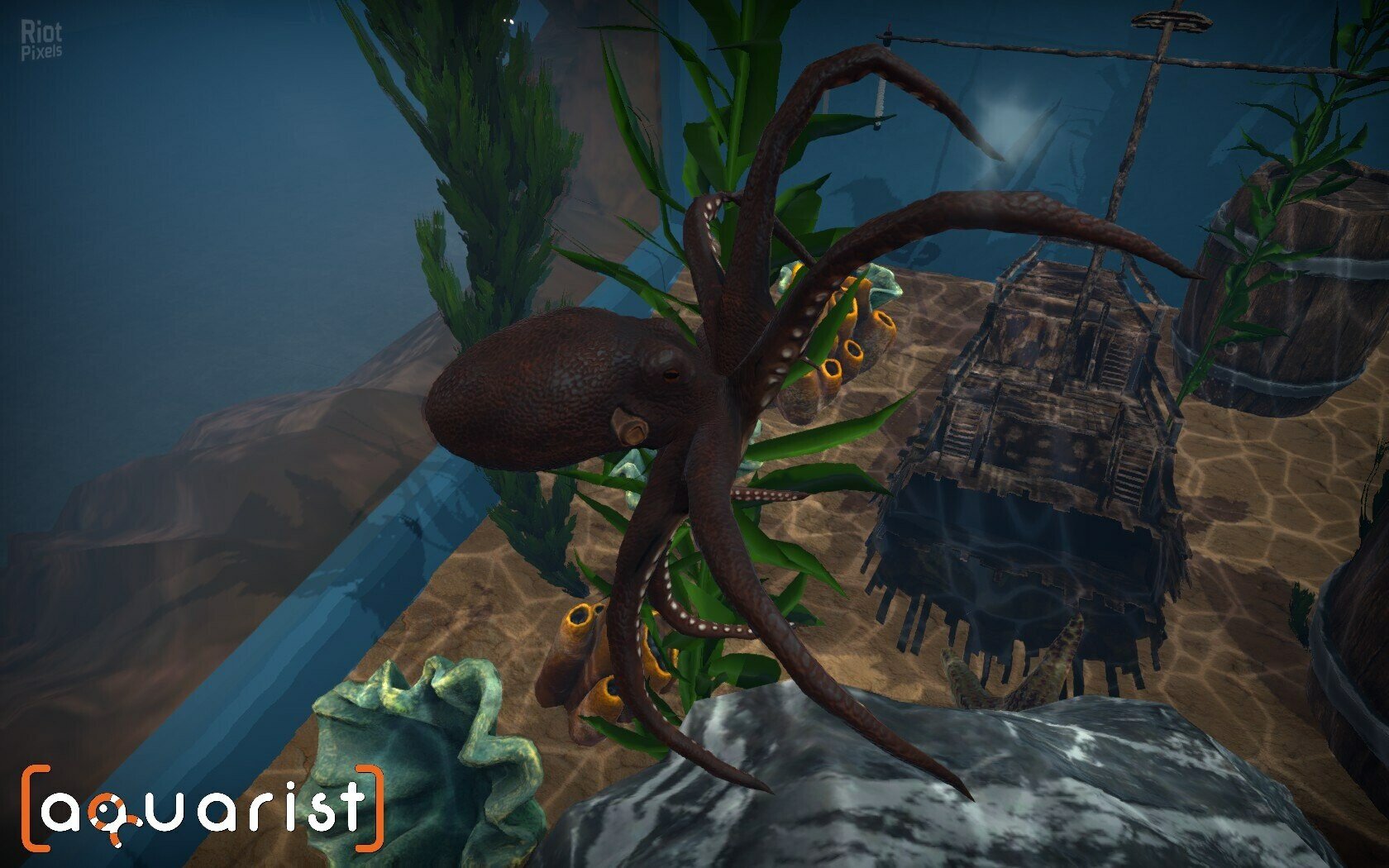 [12]-Aquarist: Full Experience Bundle – Build 18222695 + 3 DLCs Download