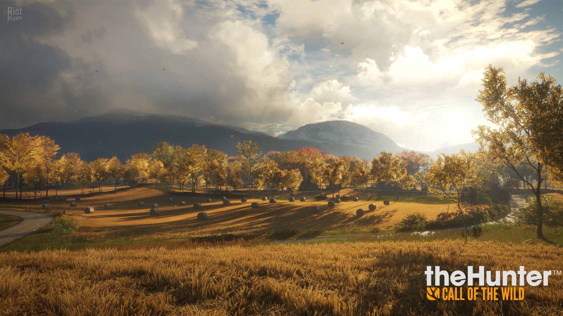 [2]-theHunter: Call of the Wild – Complete Collection – v2891297 + 64 DLCs Download