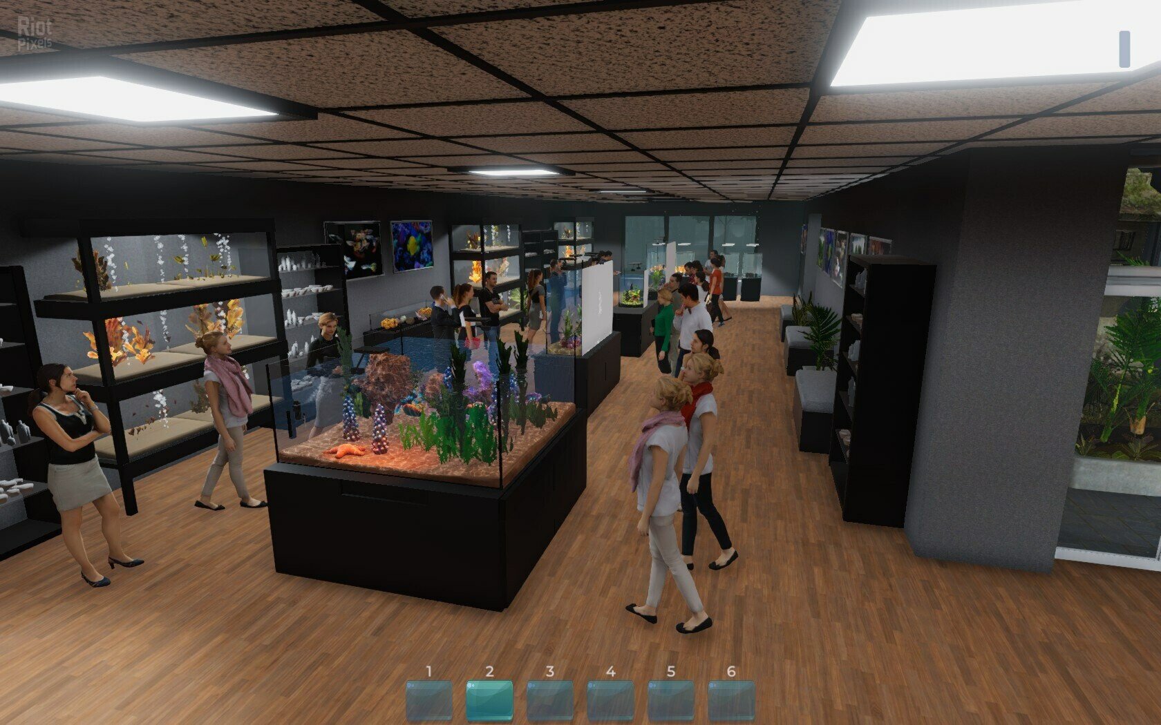 [11]-Aquarist: Full Experience Bundle – Build 18222695 + 3 DLCs Download