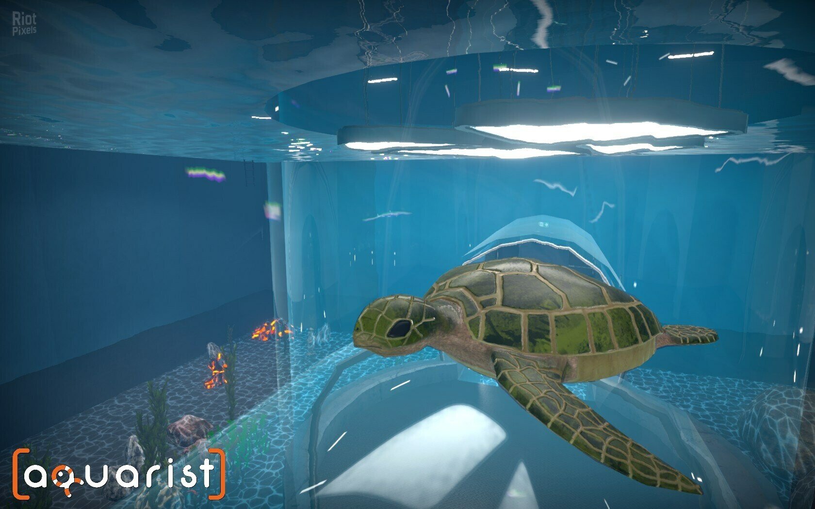 [8]-Aquarist: Full Experience Bundle – Build 18222695 + 3 DLCs Download