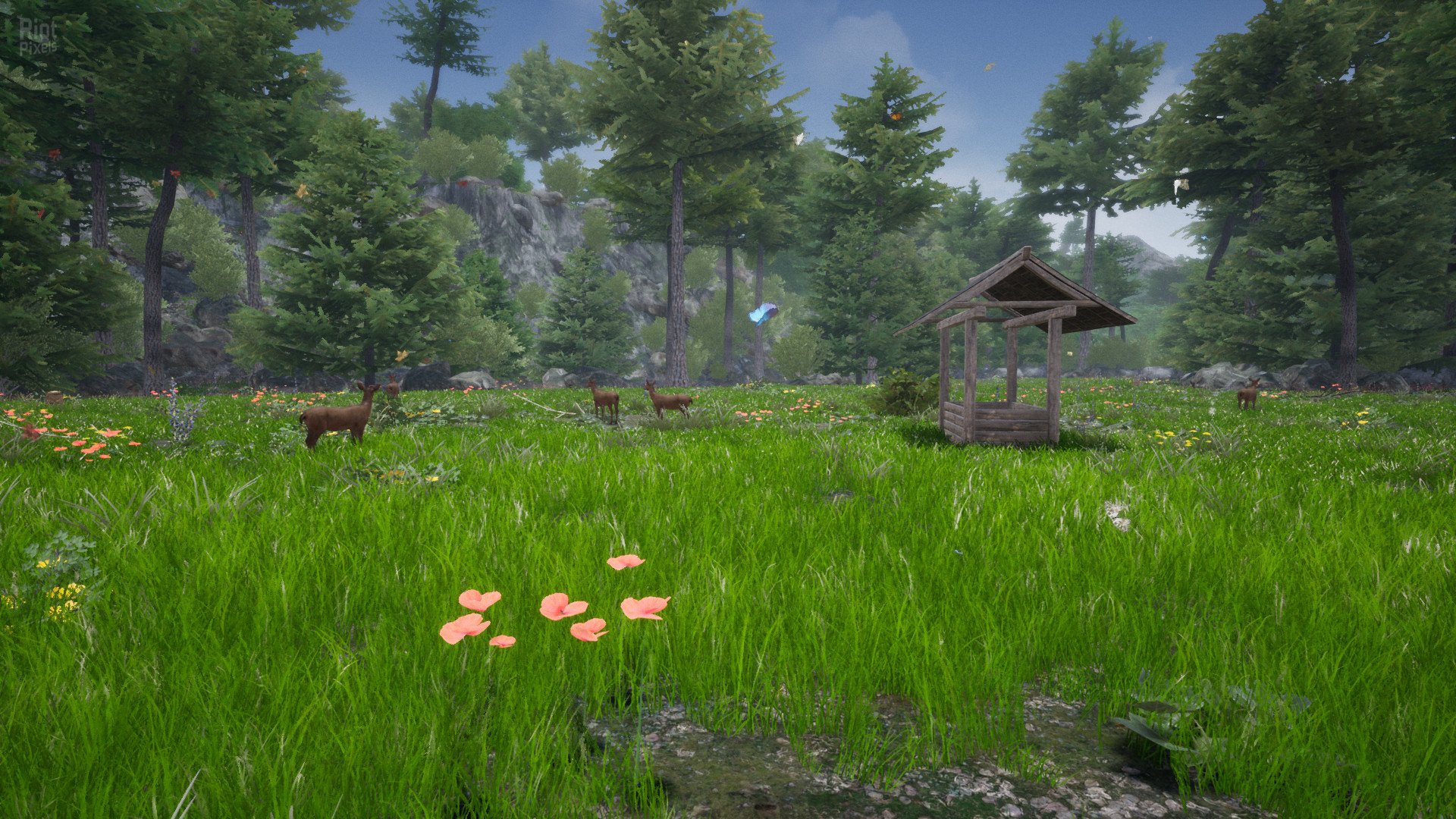 Horse Riding Deluxe 2 Download