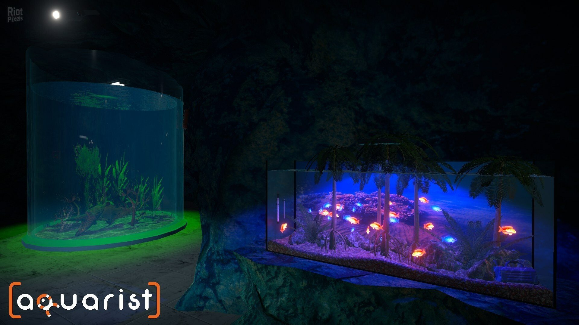 [14]-Aquarist: Full Experience Bundle – Build 18222695 + 3 DLCs Download
