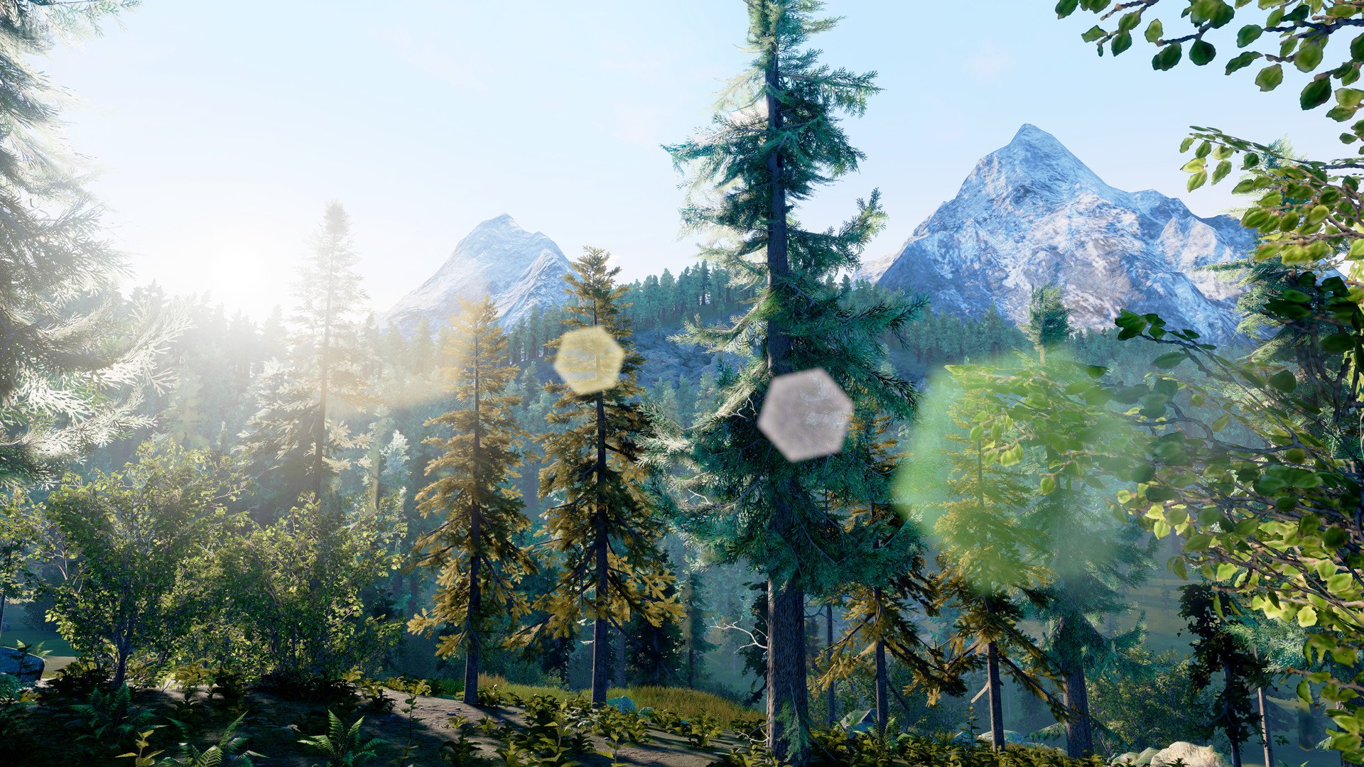 [3]-Hunting Simulator – v1.2 + DLC Download