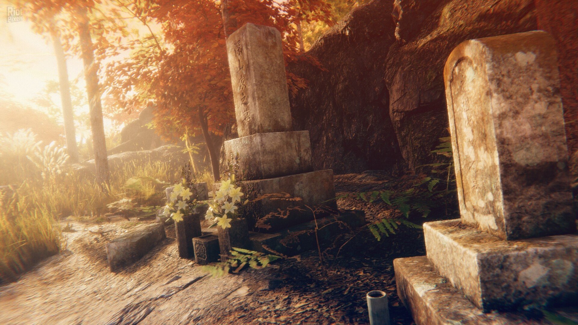 [11]-Hollow Cocoon – v1.20 Download