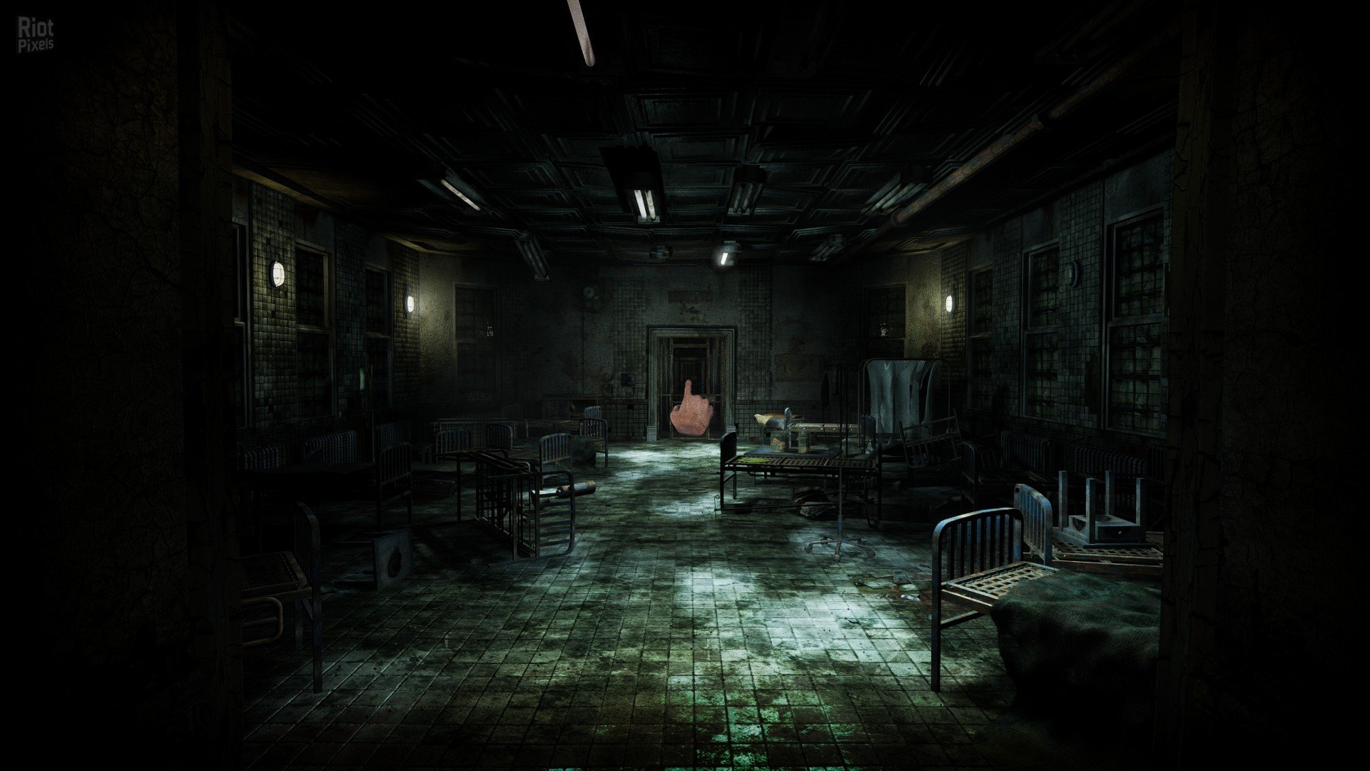 [5]-ASYLUM Download