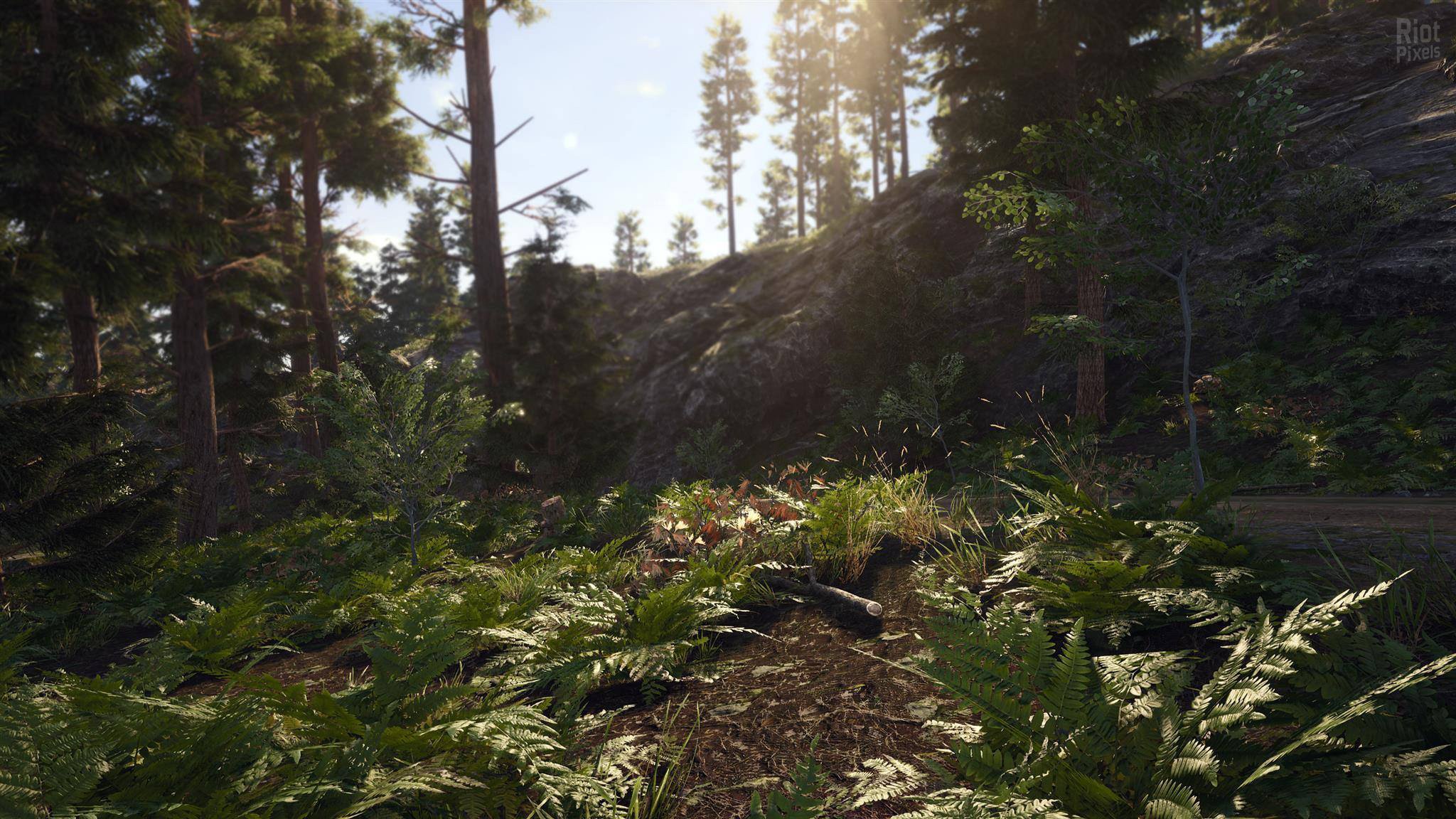 [11]-SCUM: Complete Bundle – v1.0.0.0.94918 + 12 DLCs/Bonuses Download