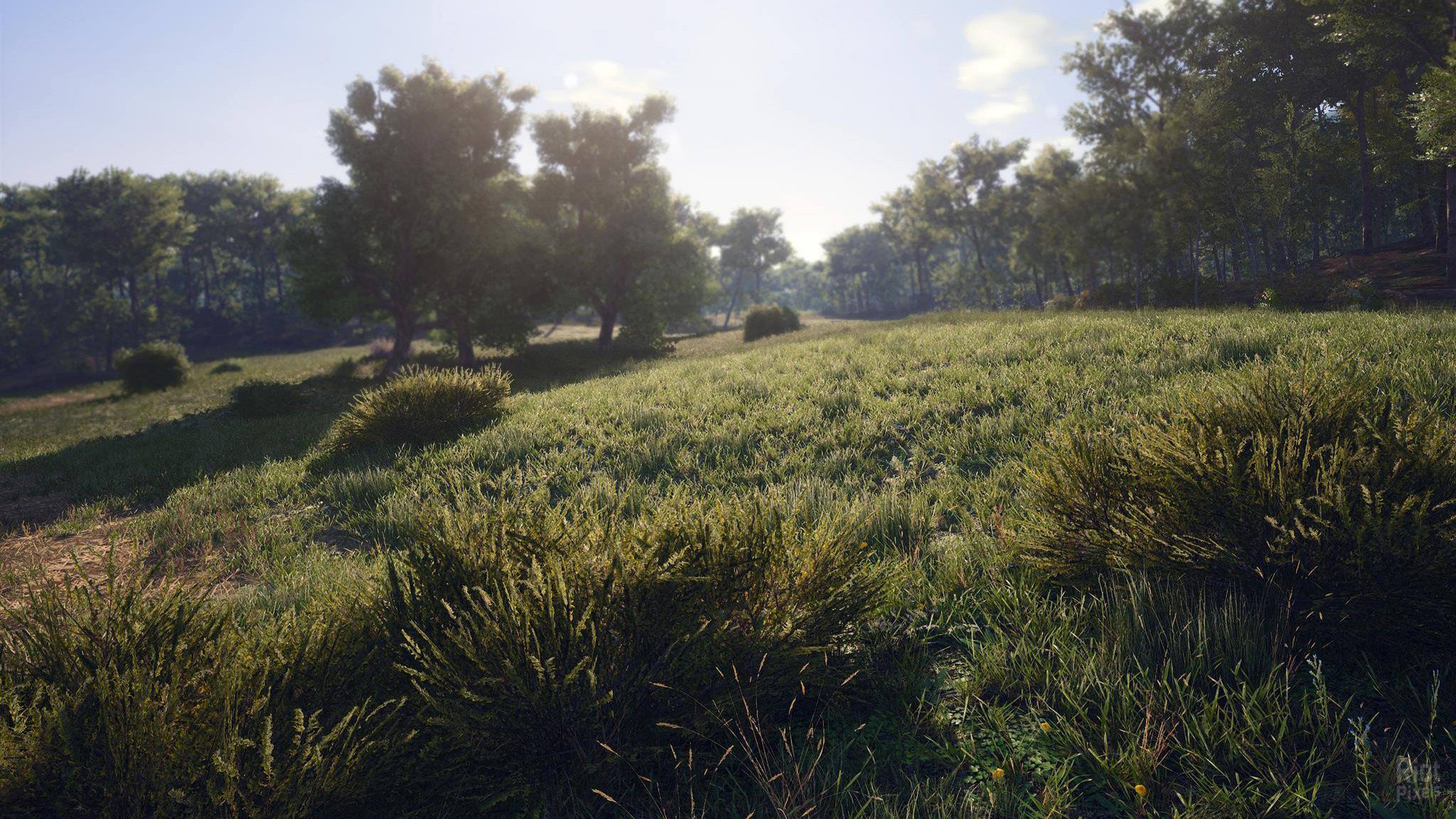[16]-SCUM: Complete Bundle – v1.0.0.0.94918 + 12 DLCs/Bonuses Download