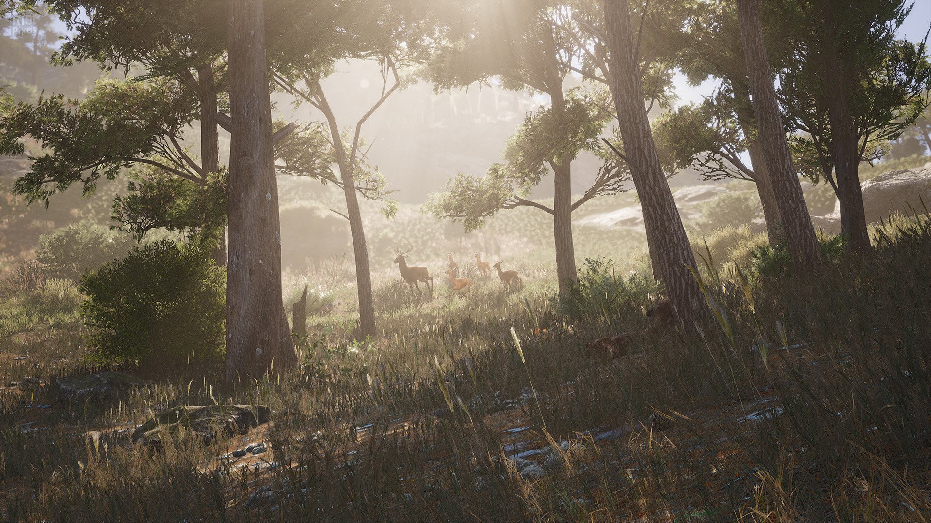 [12]-SCUM: Complete Bundle – v1.0.0.0.94918 + 12 DLCs/Bonuses Download