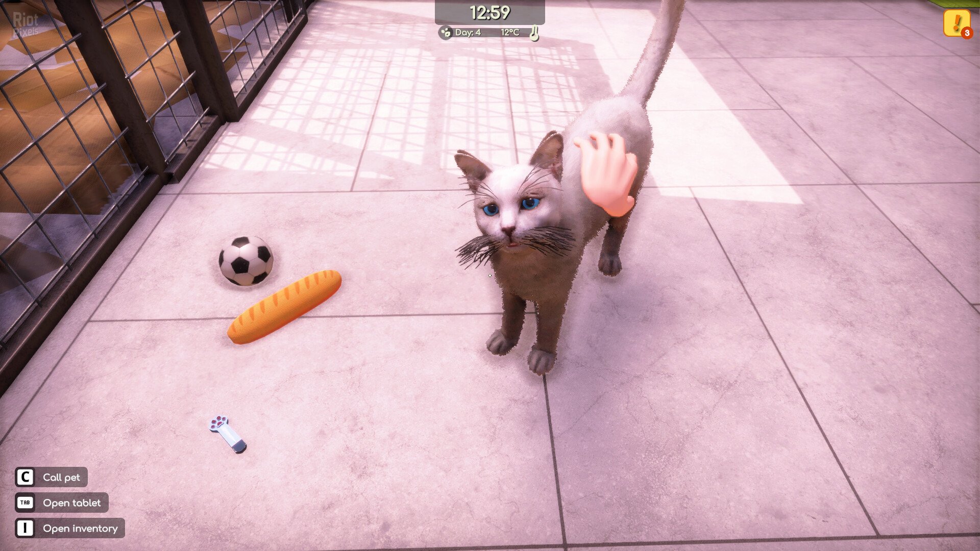 [8]-Animal Shelter 2 Download