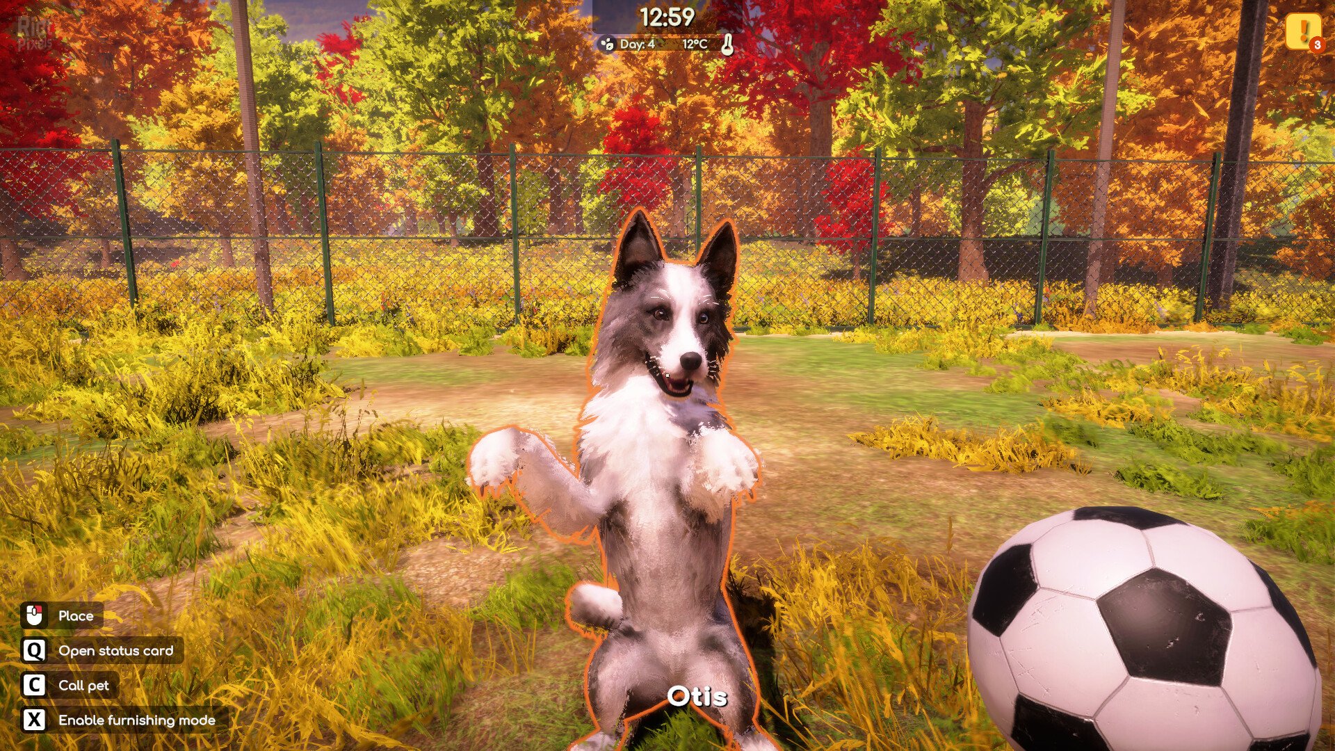 [12]-Animal Shelter 2 Download