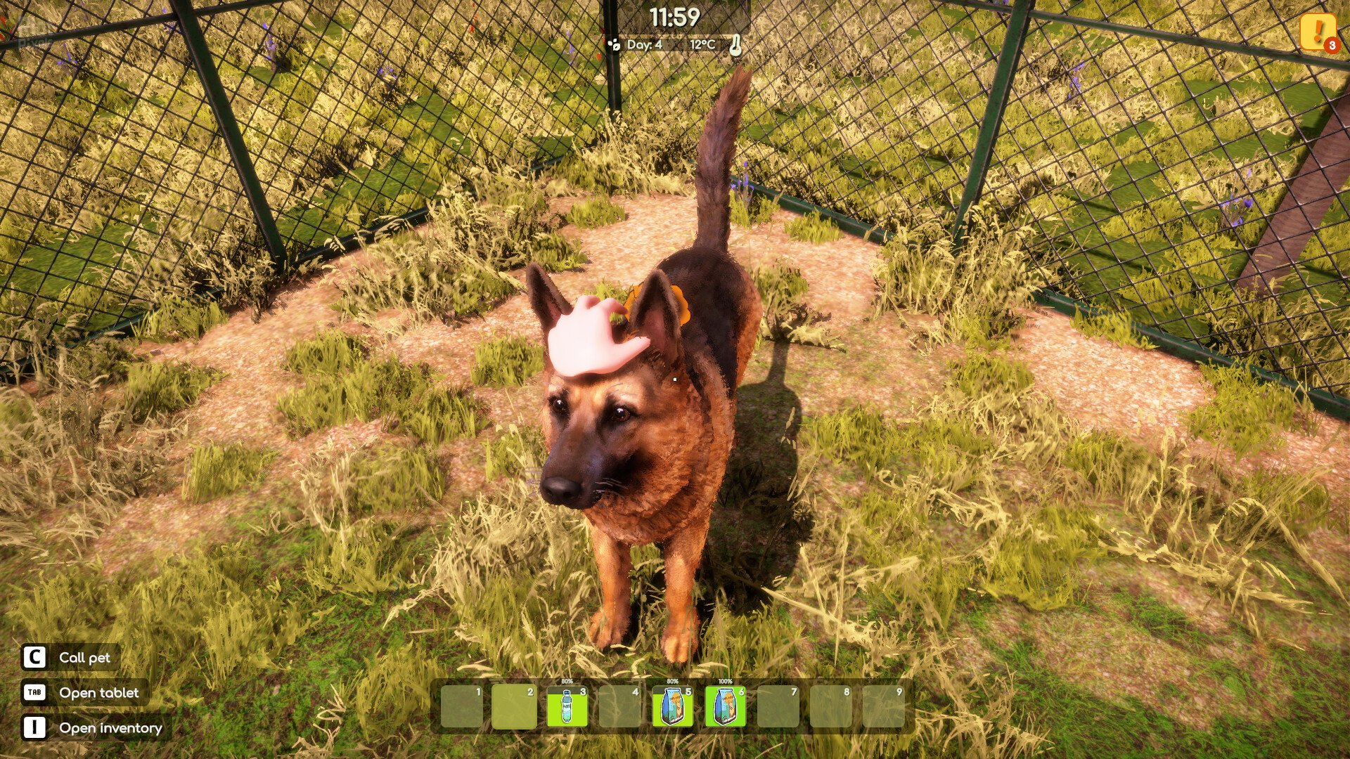 [13]-Animal Shelter 2 Download