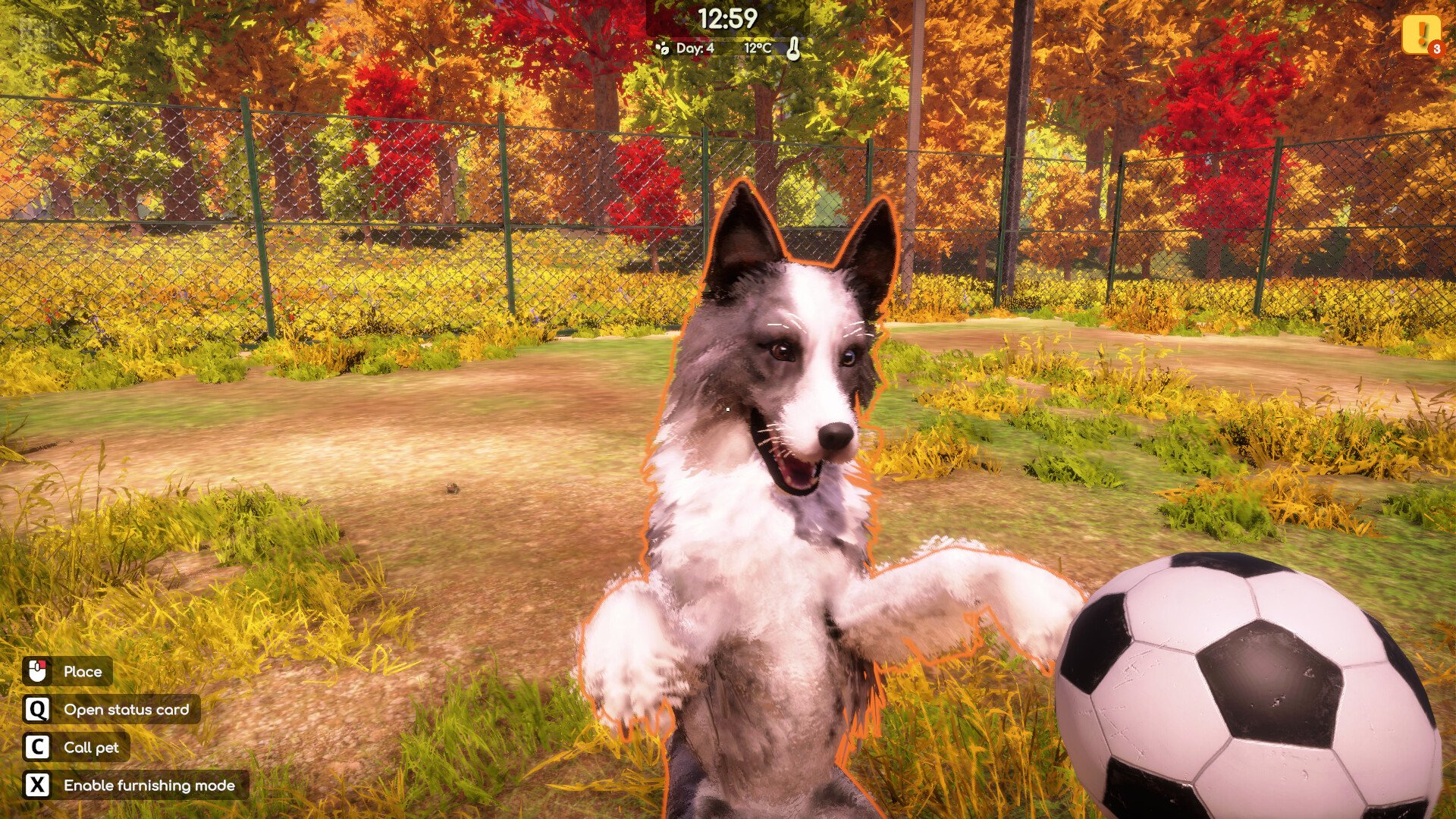 [7]-Animal Shelter 2 Download
