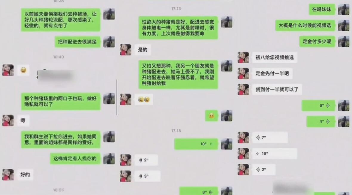 图片[9]-女子购买种猪跟自己配种事件 完整录音 语音聊天记录能惊掉你的下巴-赤赤哗热瓜黑料中心