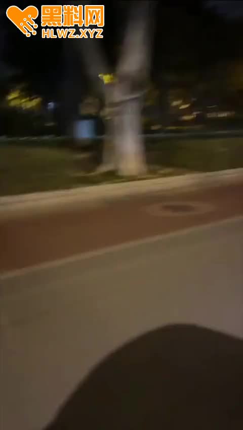 图片[9]-月黑风高 马路旁边直接开搞 人来人往 这俩人犹如无人之境-赤赤哗热瓜黑料中心
