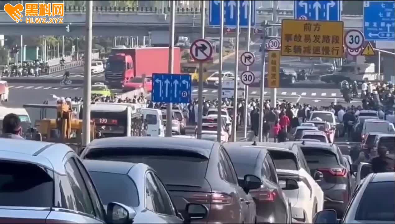 图片[11]-上海沪松公路 七宝国利集团员工为了讨要工资 组织百余人把整条路都堵住了 警察来了-赤赤哗热瓜黑料中心