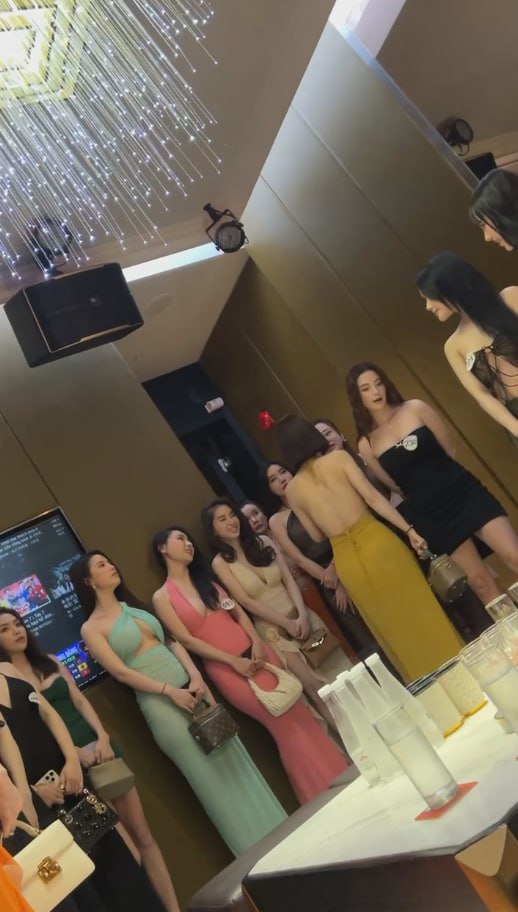 图片[7]-非诚勿扰选秀时间到 网友友们请选择心动女嘉宾-赤赤哗热瓜黑料中心